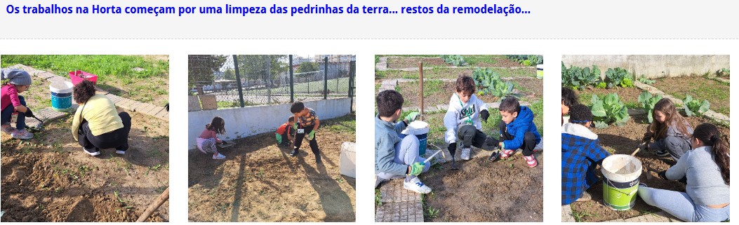 Em setembro, os trabalhos na Horta começam por uma limpeza das pedrinhas da terra... restos da remodelação.