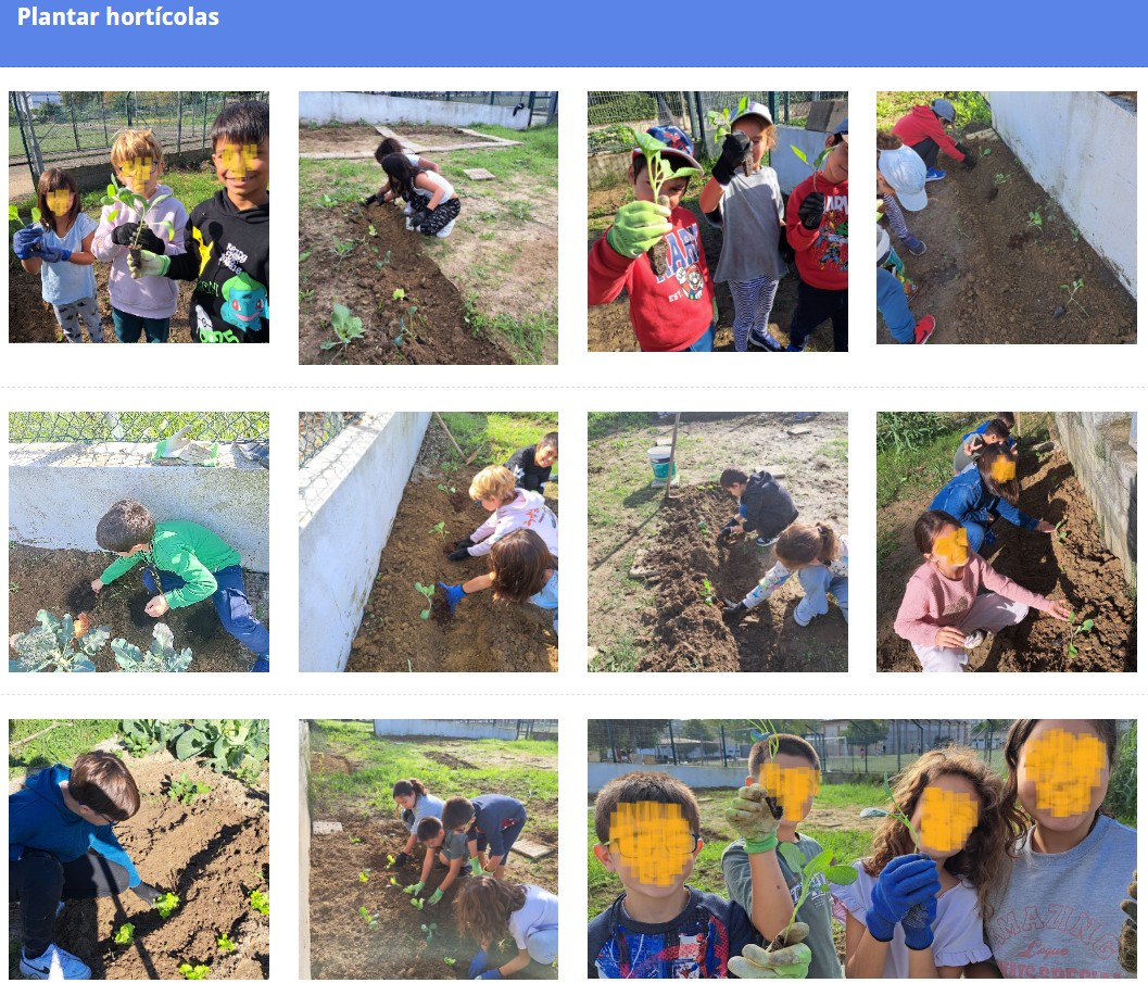 De janeiro a março os alunos realizaram, altém de alguma sementeira e plantação, a colheita dos produtos cultivados.