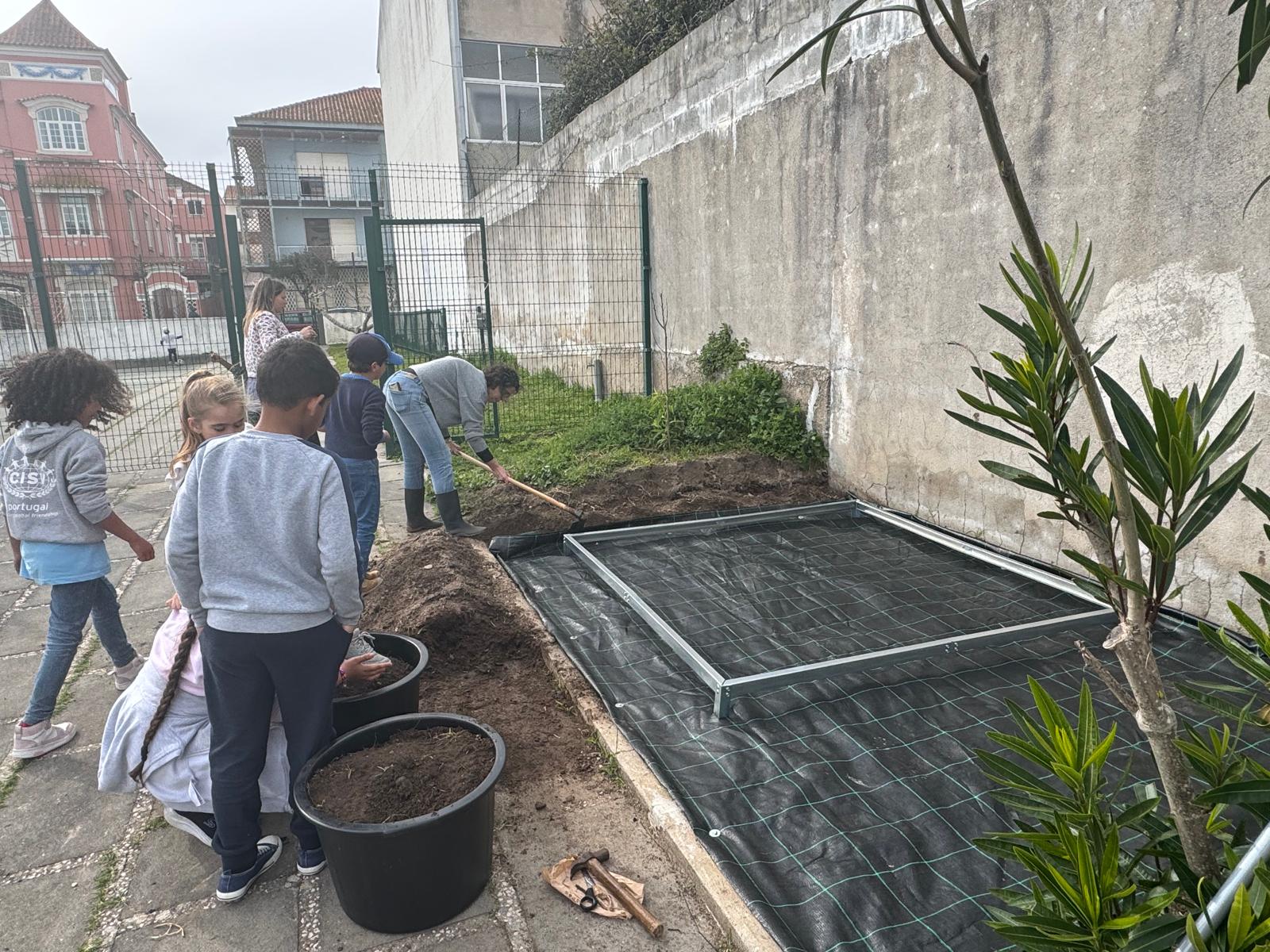 Preparação do espaço da estufa.