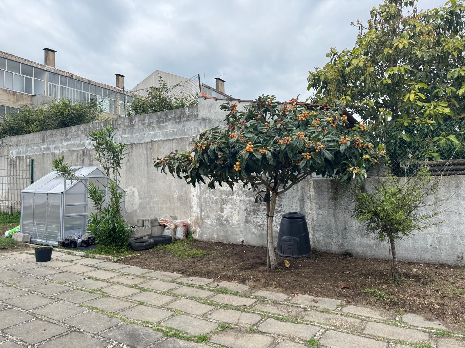 Horta limpa.