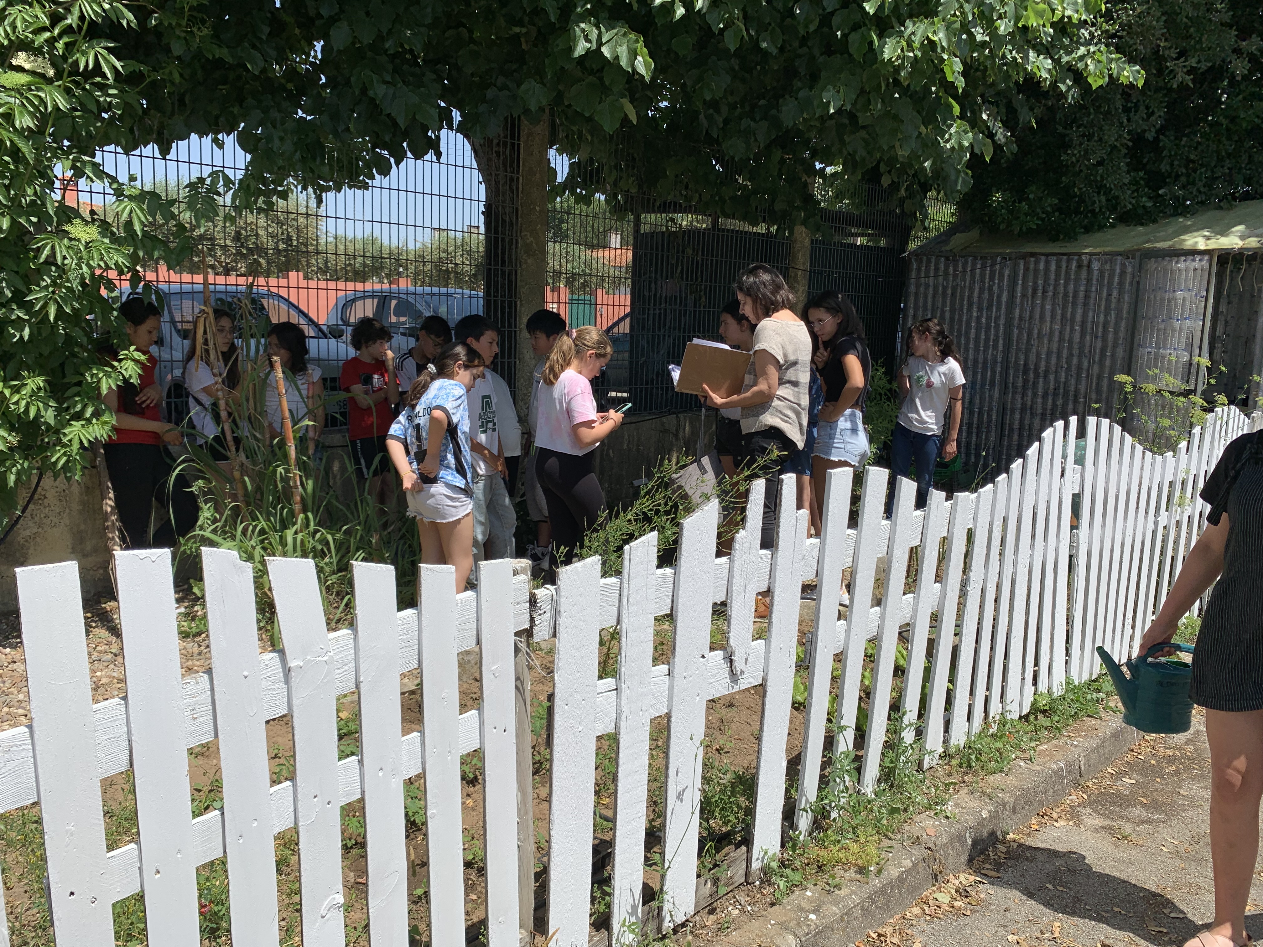 Saída de campo com uma turma no âmbito da disciplina de Ciências Naturais.