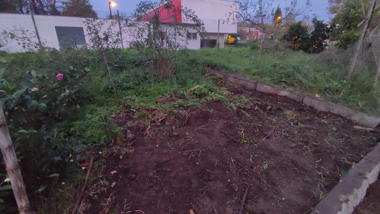 Limpeza de terreno.