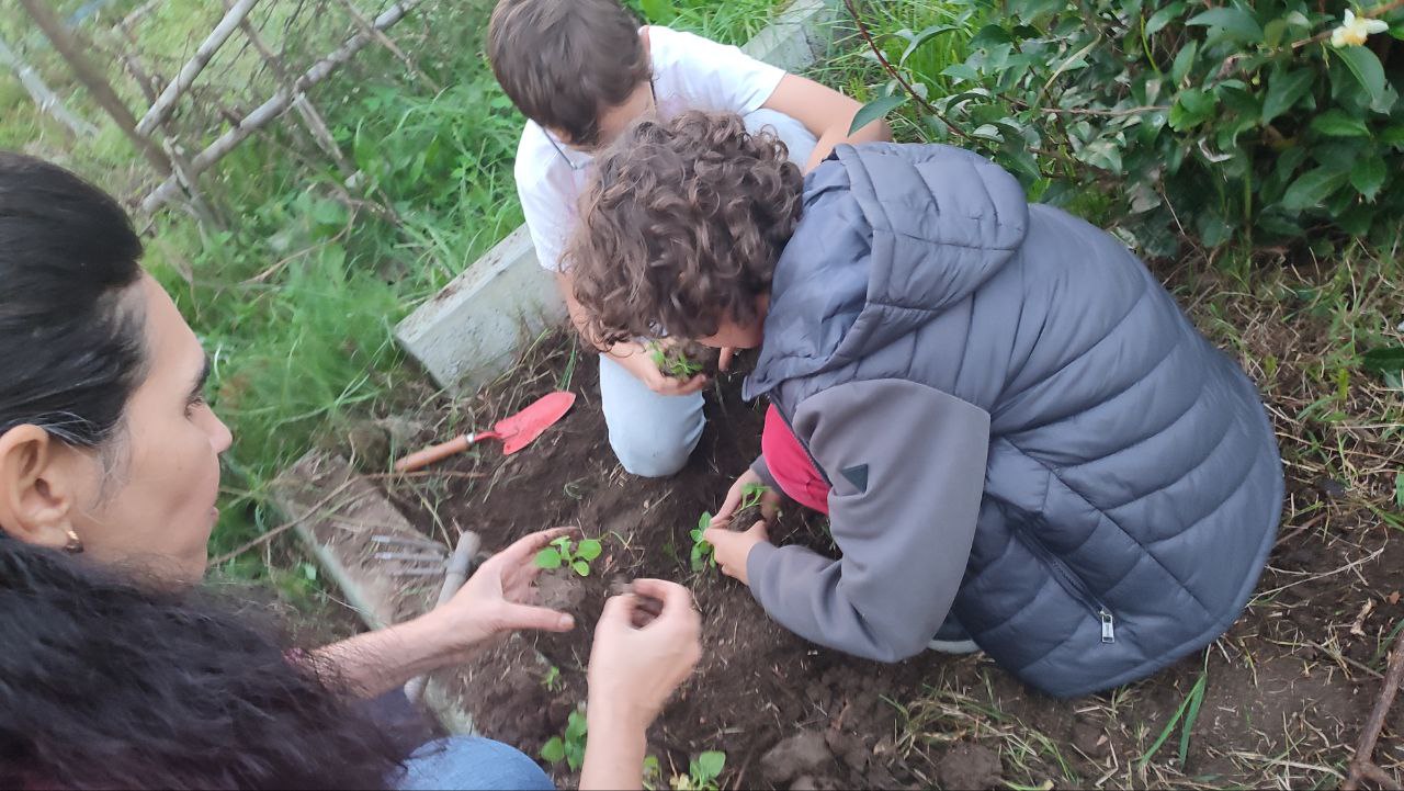 Plantação de hortícolas.