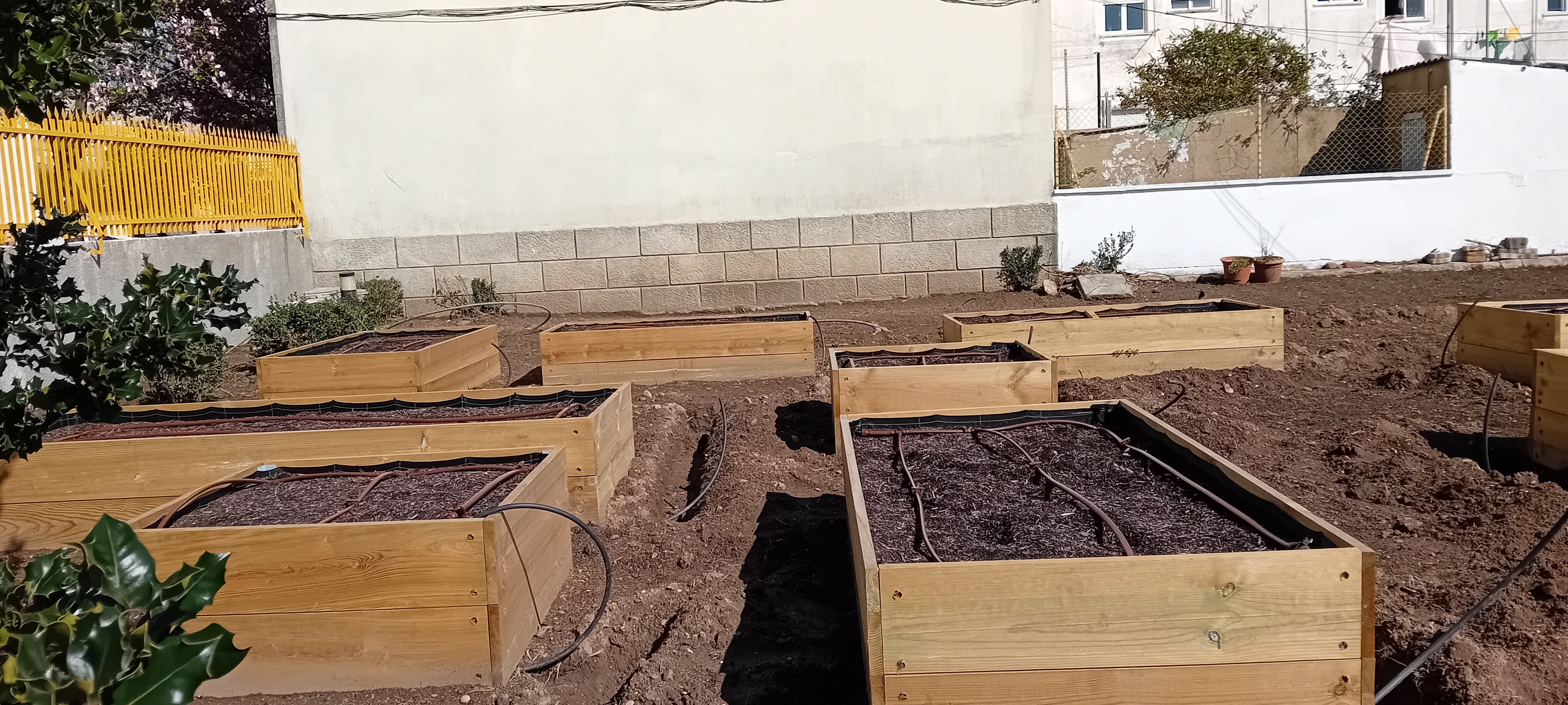 HORTA JEJD MATOSINHOS - ESPAÇO ENVOLVENTE