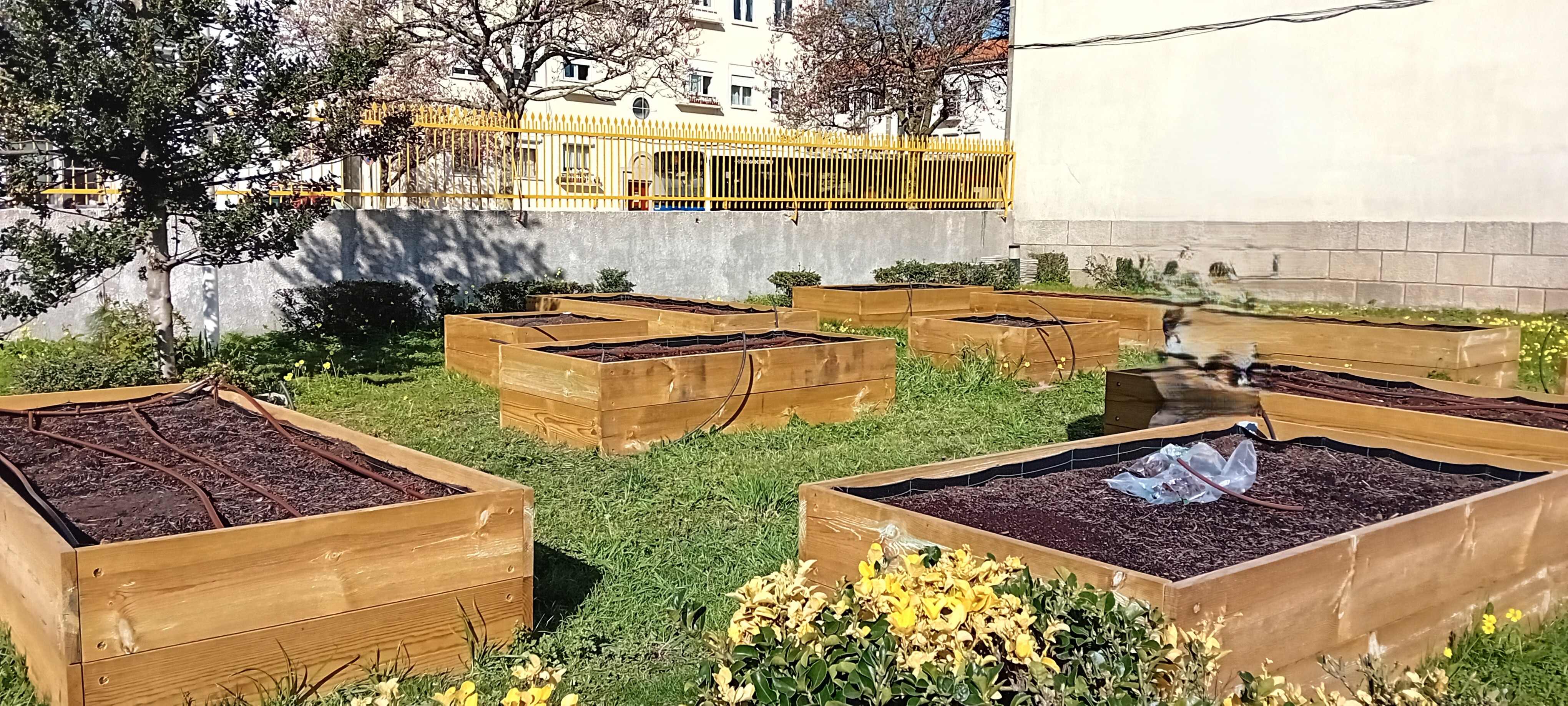 HORTA JEJD MATOSINHOS - ESPAÇO ENVOLVENTE 2