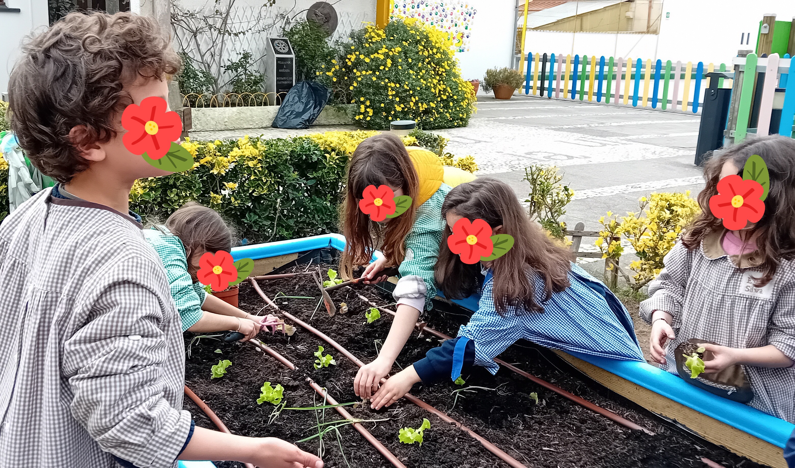HORTA JEJD MATOSINHOS - CULTIVO ALUNOS - MARÇO