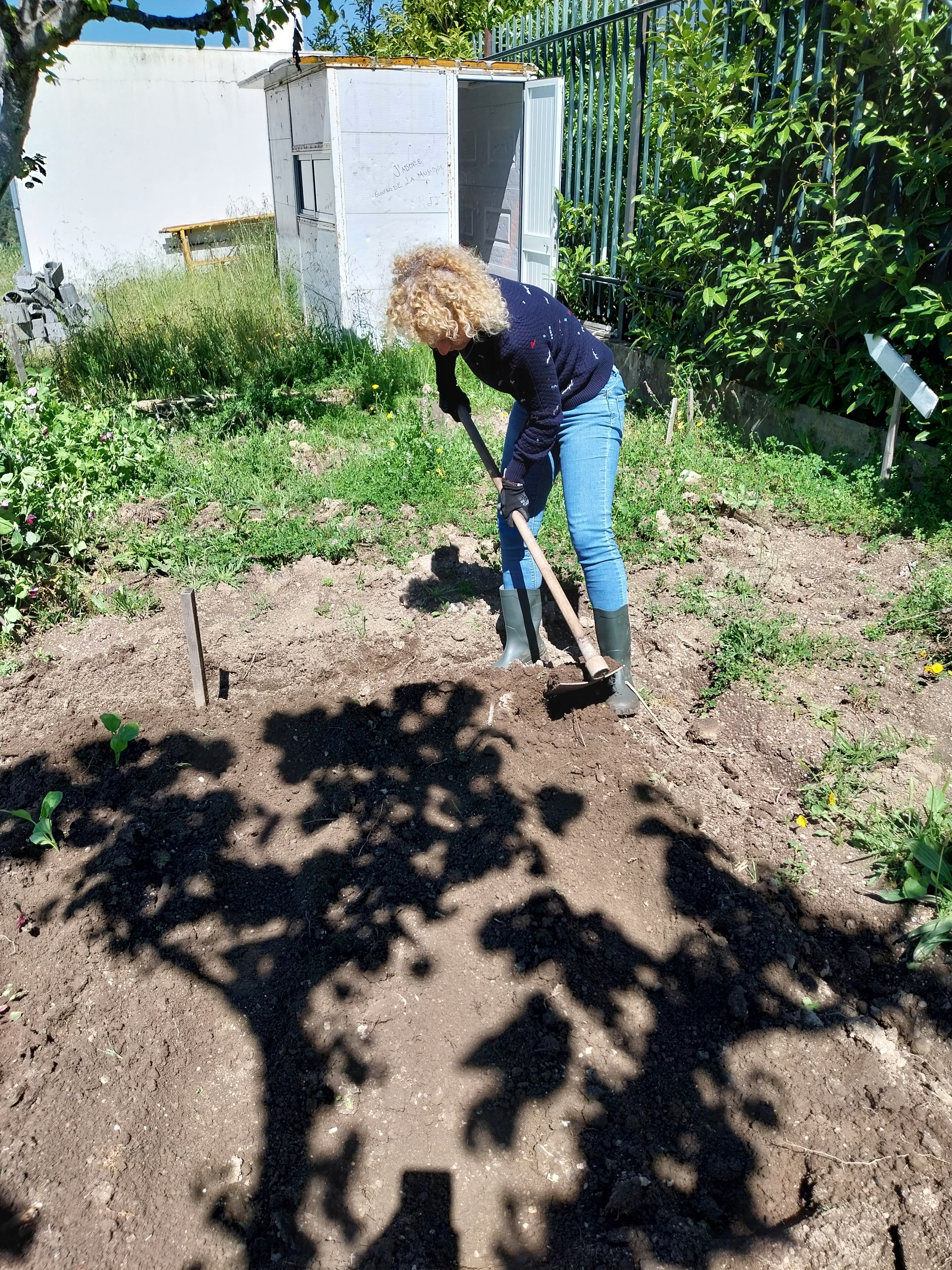 Preparação da terra para posterior plantação.
