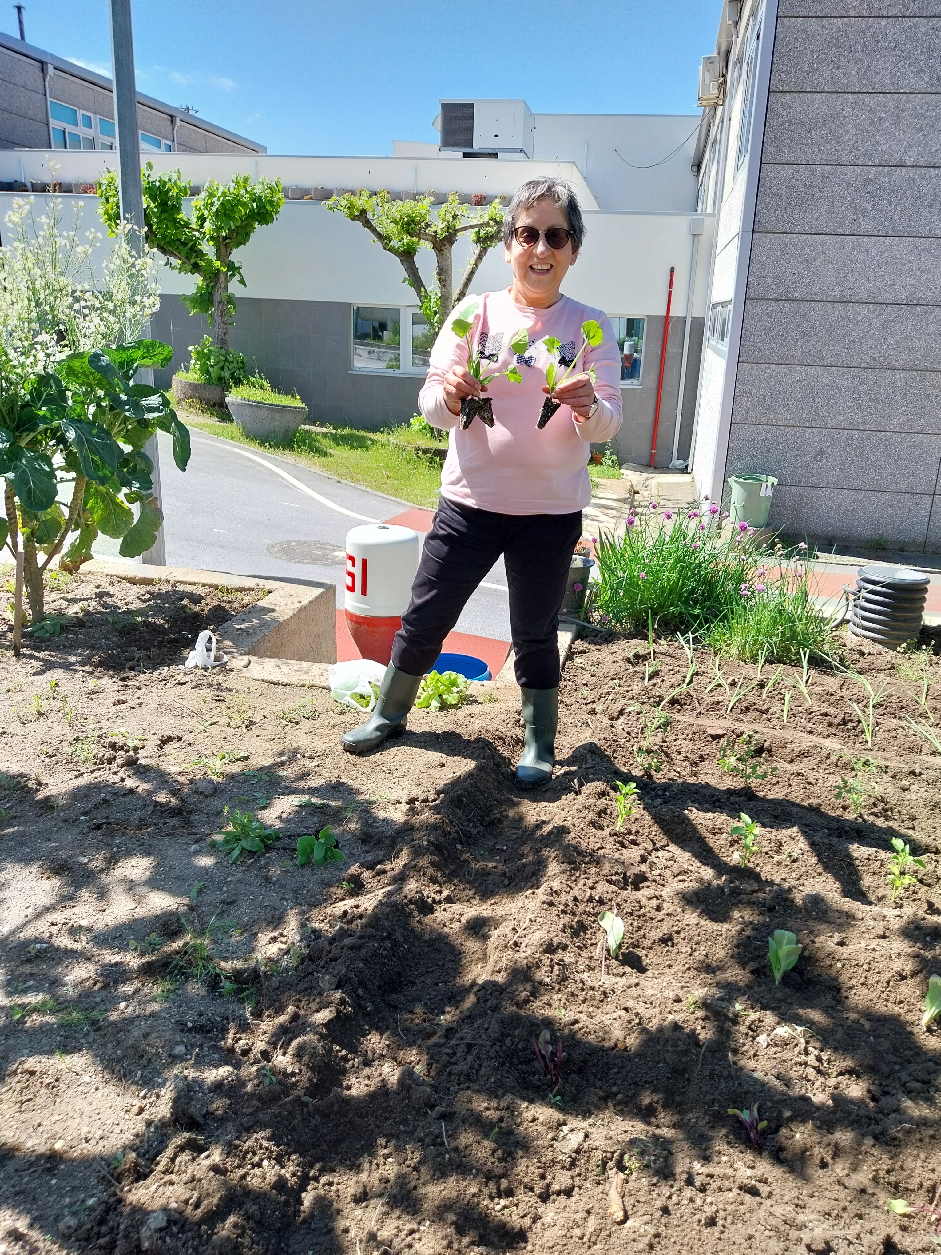 Plantação de algumas hortícolas: tomates, pimentos, beringelas, curgete, pepinos, cebolas, alfaces, rúcula e aboboras.