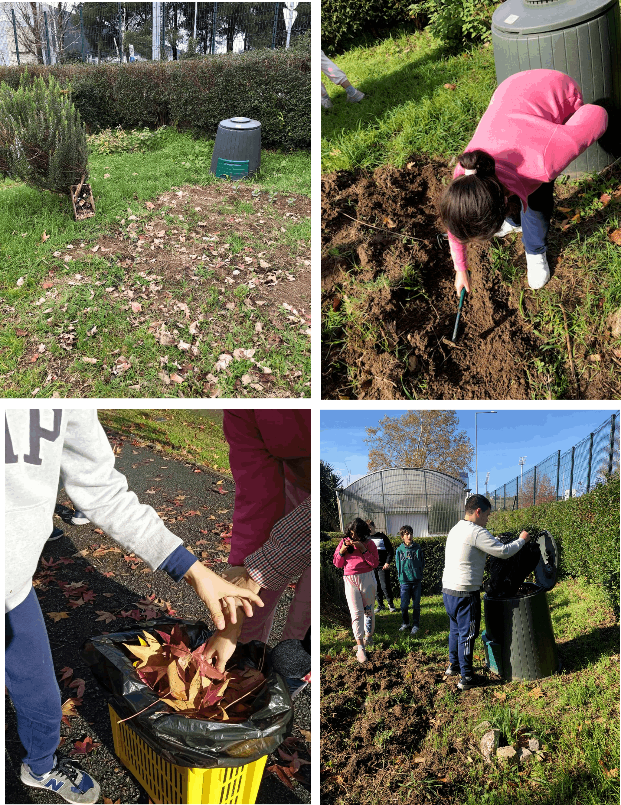 Situação inicial da horta
A imagem mostra o expaço exterior da horta, onde devagarinho retomámos os trabalhos. Enriquecemos o composto com folhas recolhidas no outono e aproveitámos o ambiente ao ar livre para atividades educativas.