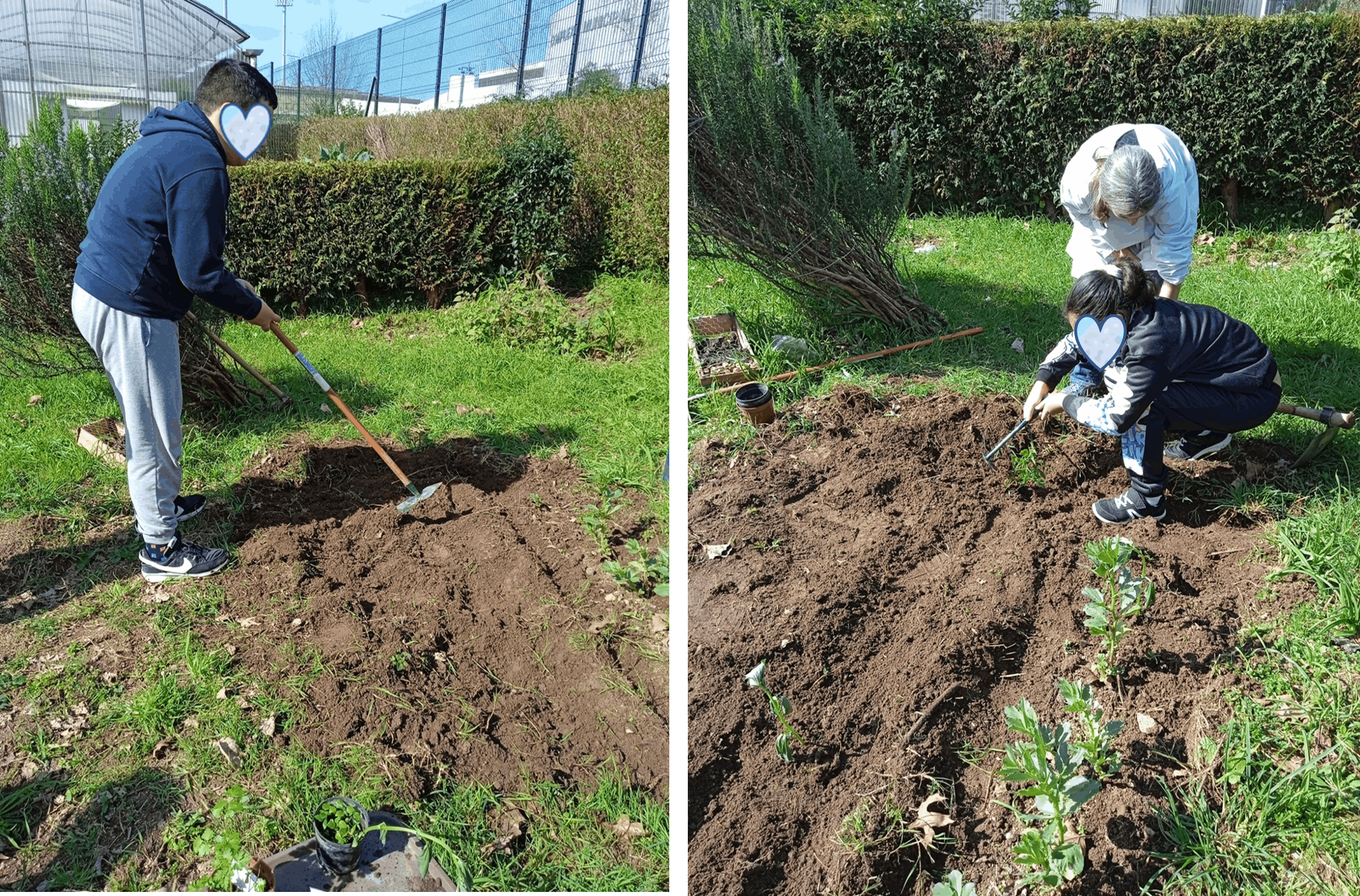 Mãos à Horta.
Devagarinho, retomamos o trabalho na horta. Depois das chuvas, é tempo de arregaçar as mangas, abrir caminhos na terra e cuidar das favas com carinho.