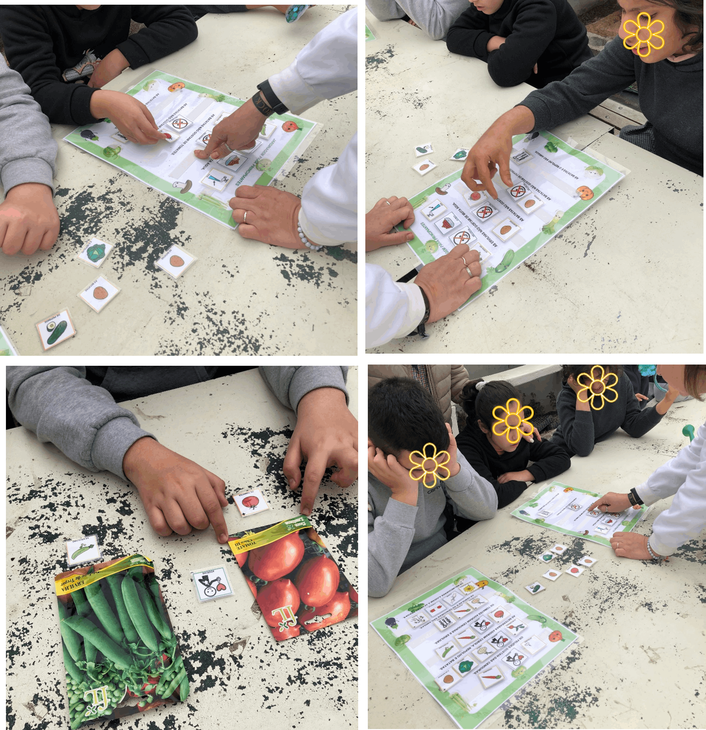 Consociação de plantas - Amizades Verdes.
Na estufa, aprendemos que as plantas também têm preferências! “Brincamos” com a consociação e descobrimos quem gosta de quem para que todas cresçam felizes e saudáveis.