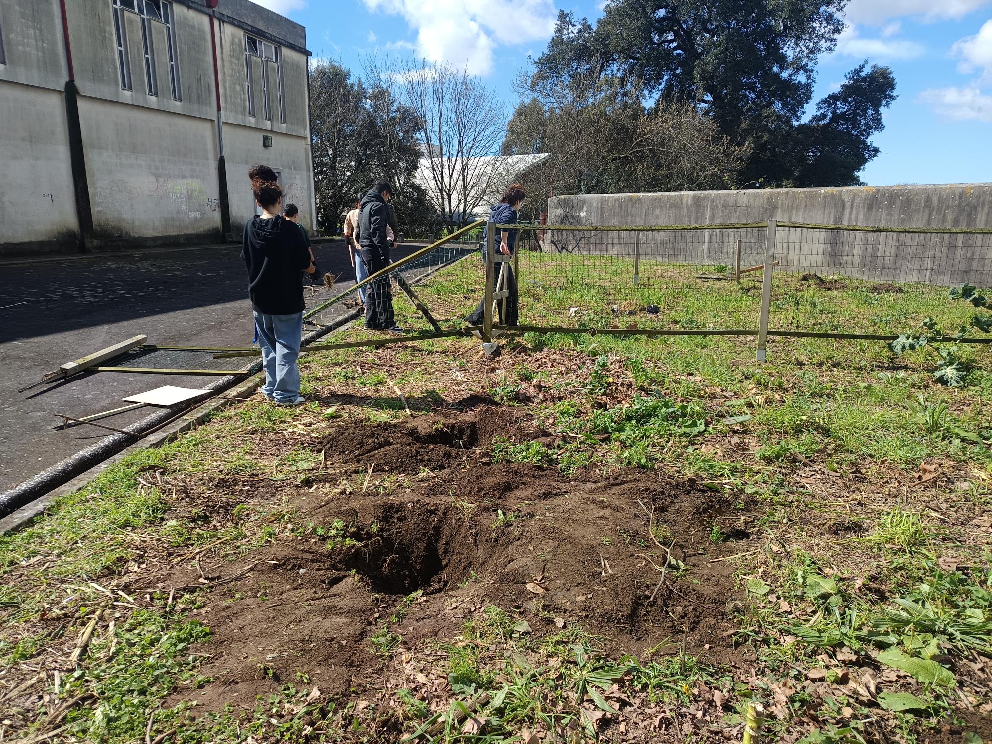 E começamos os trabalhos de limpeza e preparação do terreno para lavrar. O terreno tem muitas pedras vindas de obras da escola.