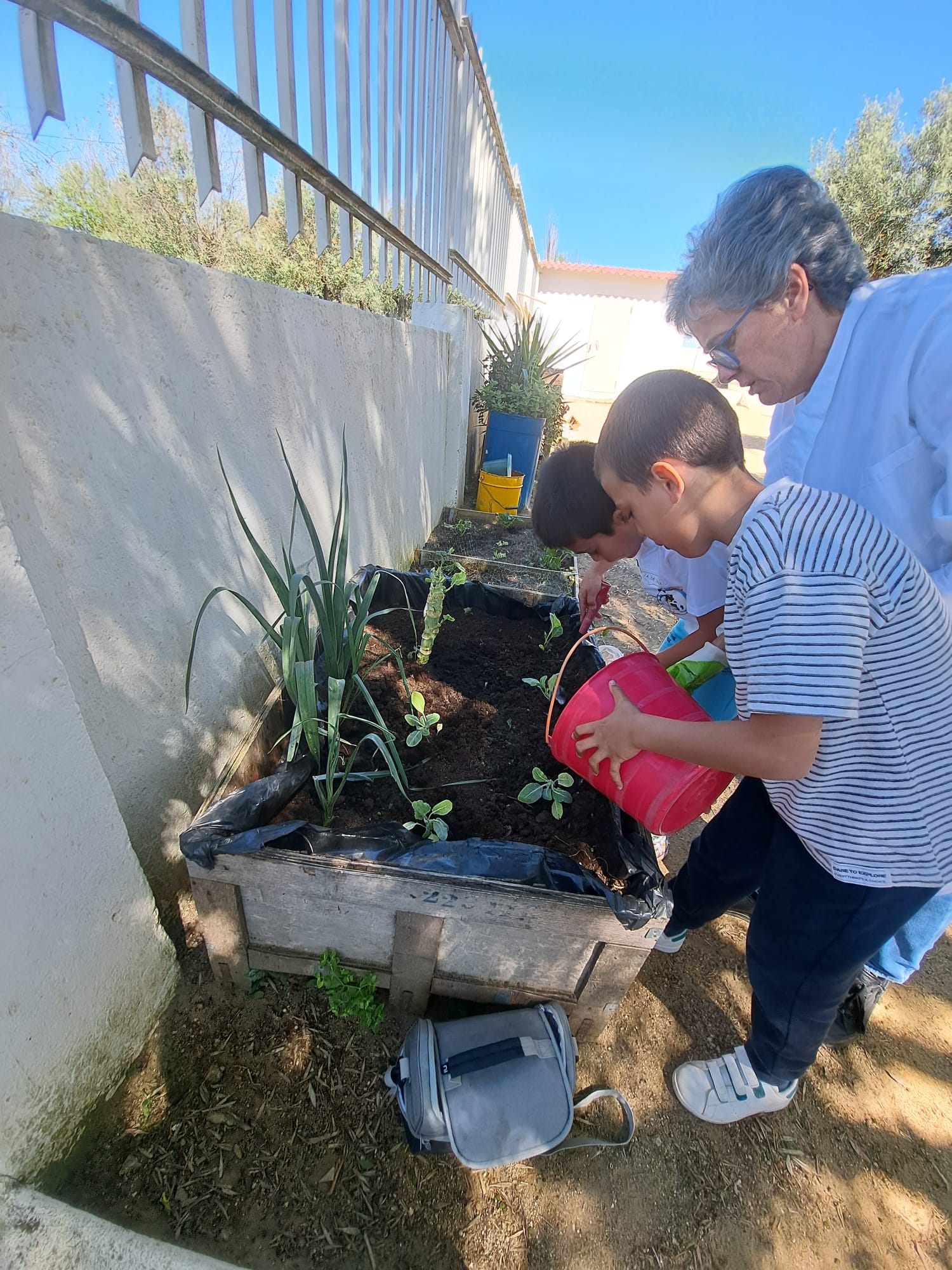 Plantação de mais hortícolas