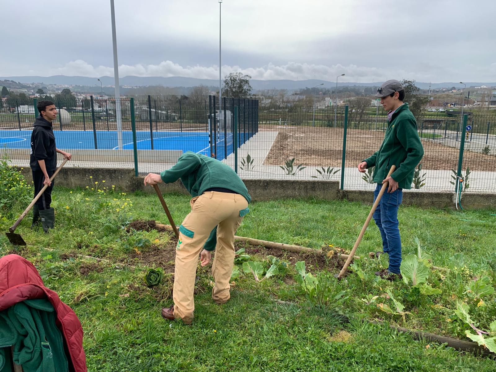 Em parceria com a Escola Profissional de Agricultura de Alcobaça -EPADREC, vieram uns alunos do 9º ano preparar o terreno para as agriculturas de março.