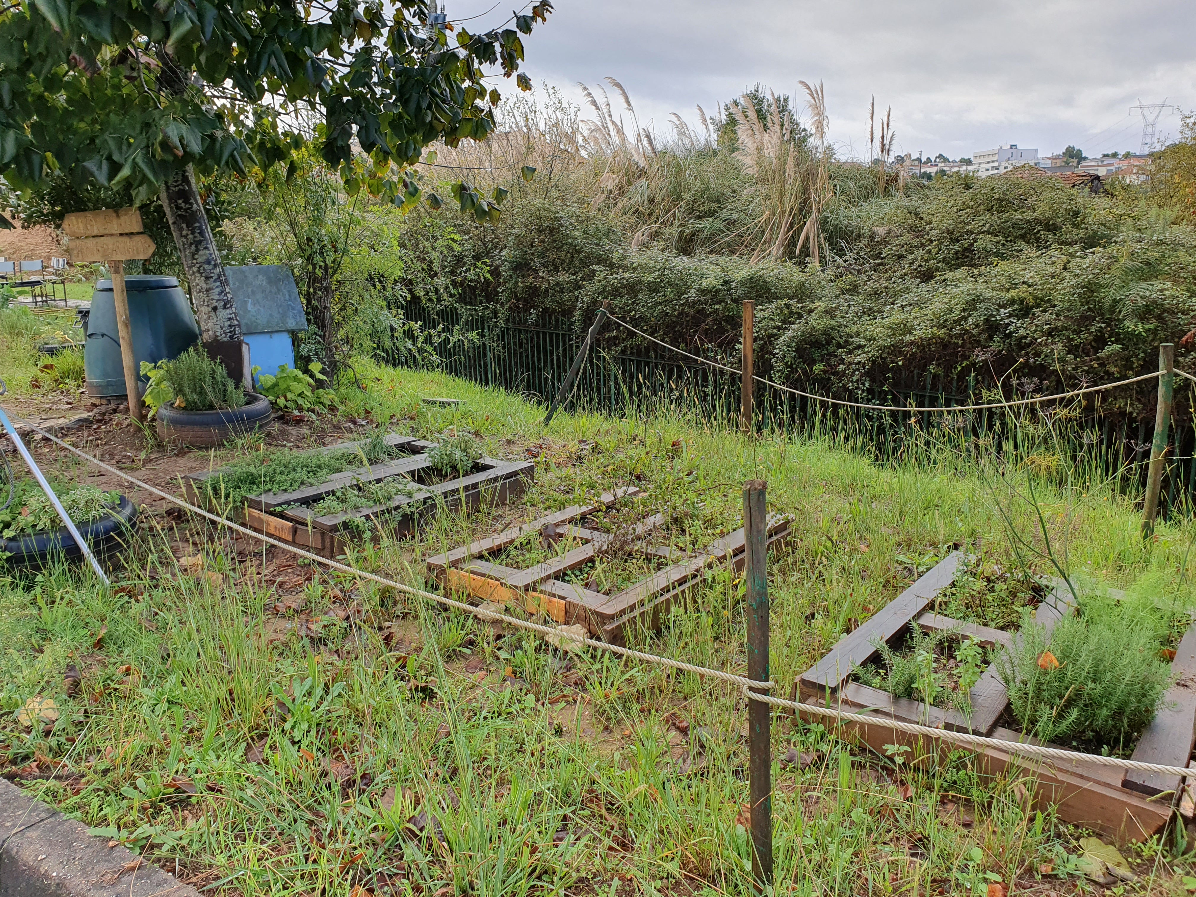 Uma zona da horta destinada a plantas e ervas aromáticas.