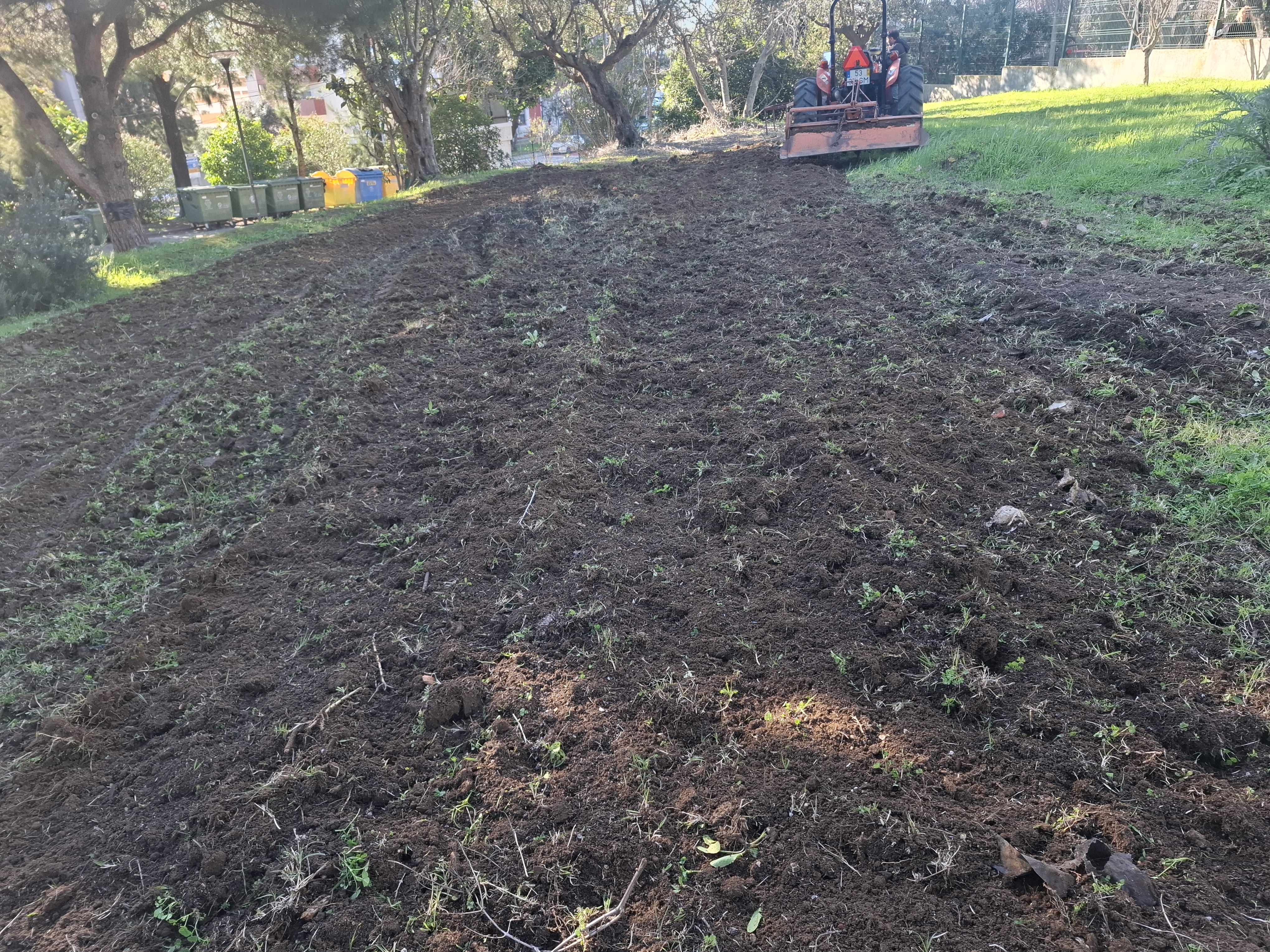 Preparação da terra da horta para o plantio e a sementeira com a ajuda do trator