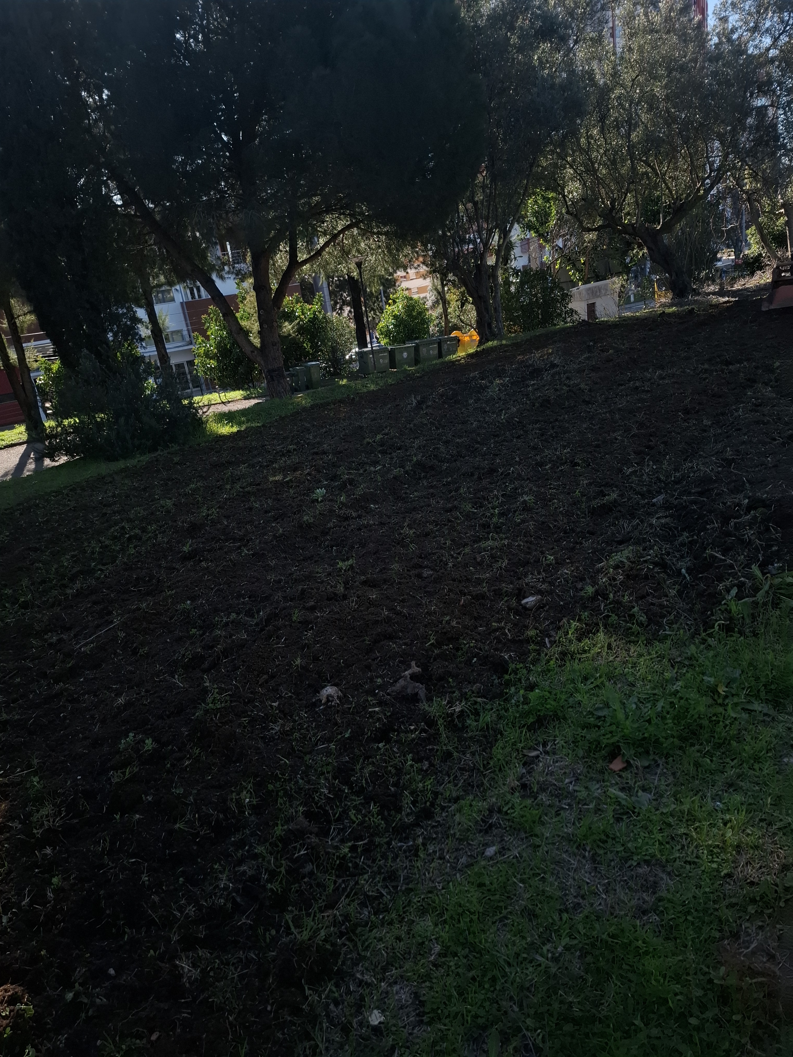 A terra já está preparada.