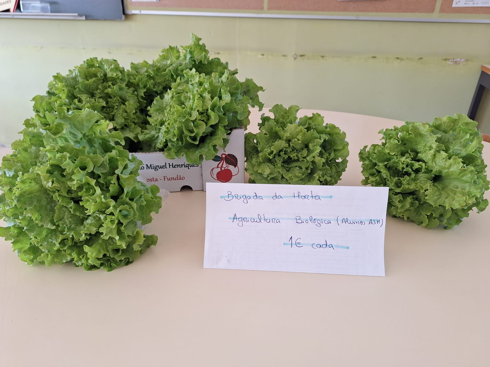 Venda de produtos da horta