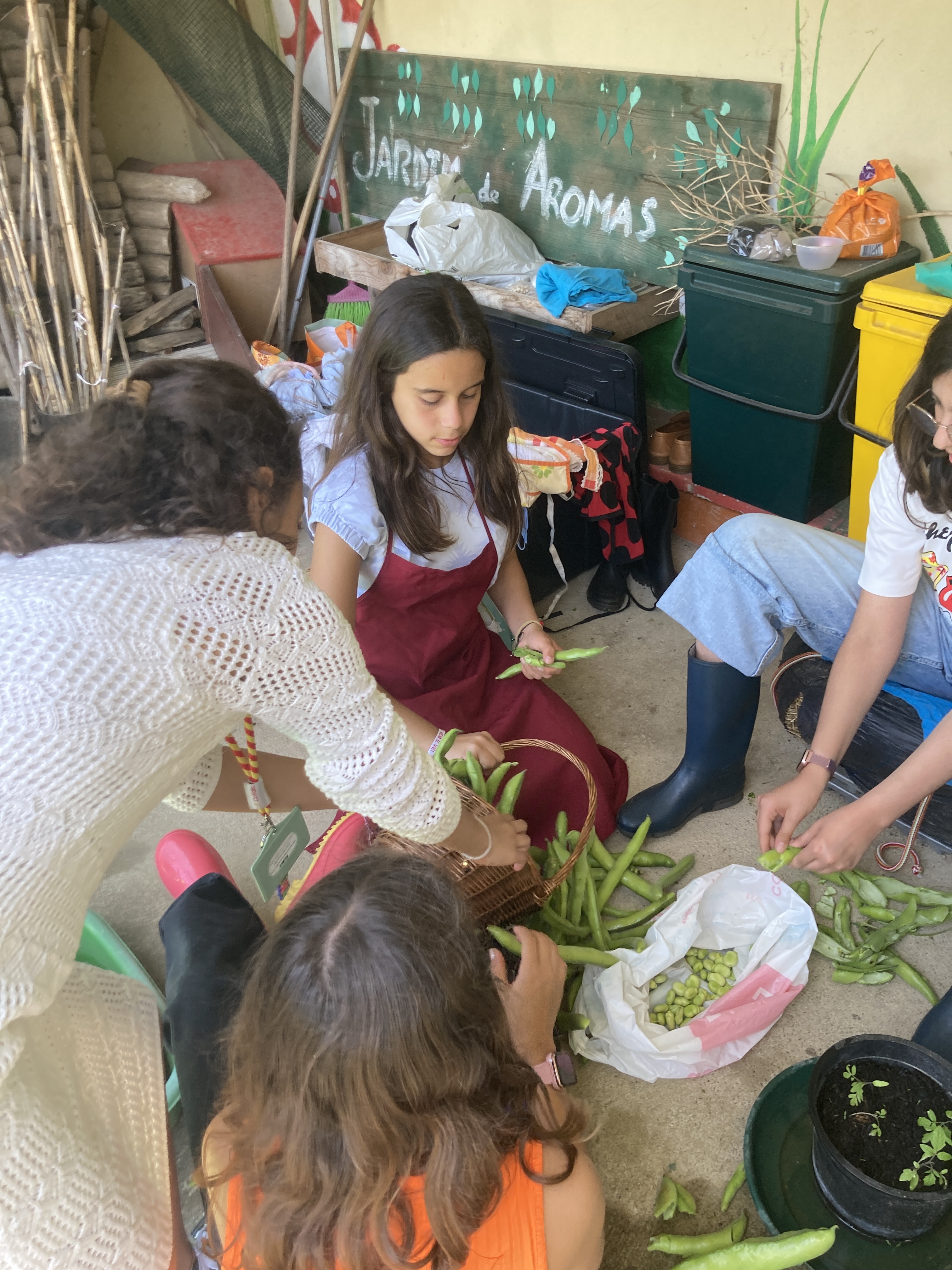Descascar de ervilhas e favas