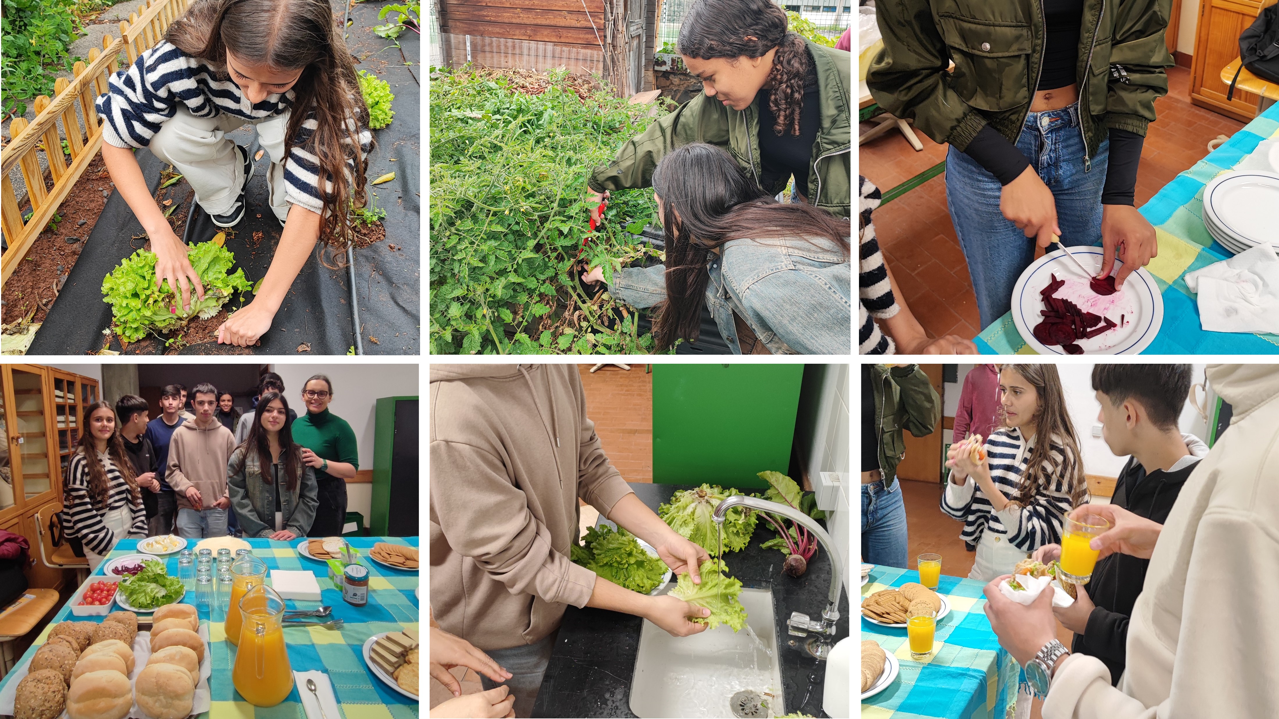 No fim de março e início de abril, o Projeto BioLife.GZ participou em atividades juntamente com as disciplinas de Cidadania e Ciências Naturais, da turma 9º7, no âmbito de um DAC Domínio de Articulação Curricular, sob o tema “Consumo Responsável”.