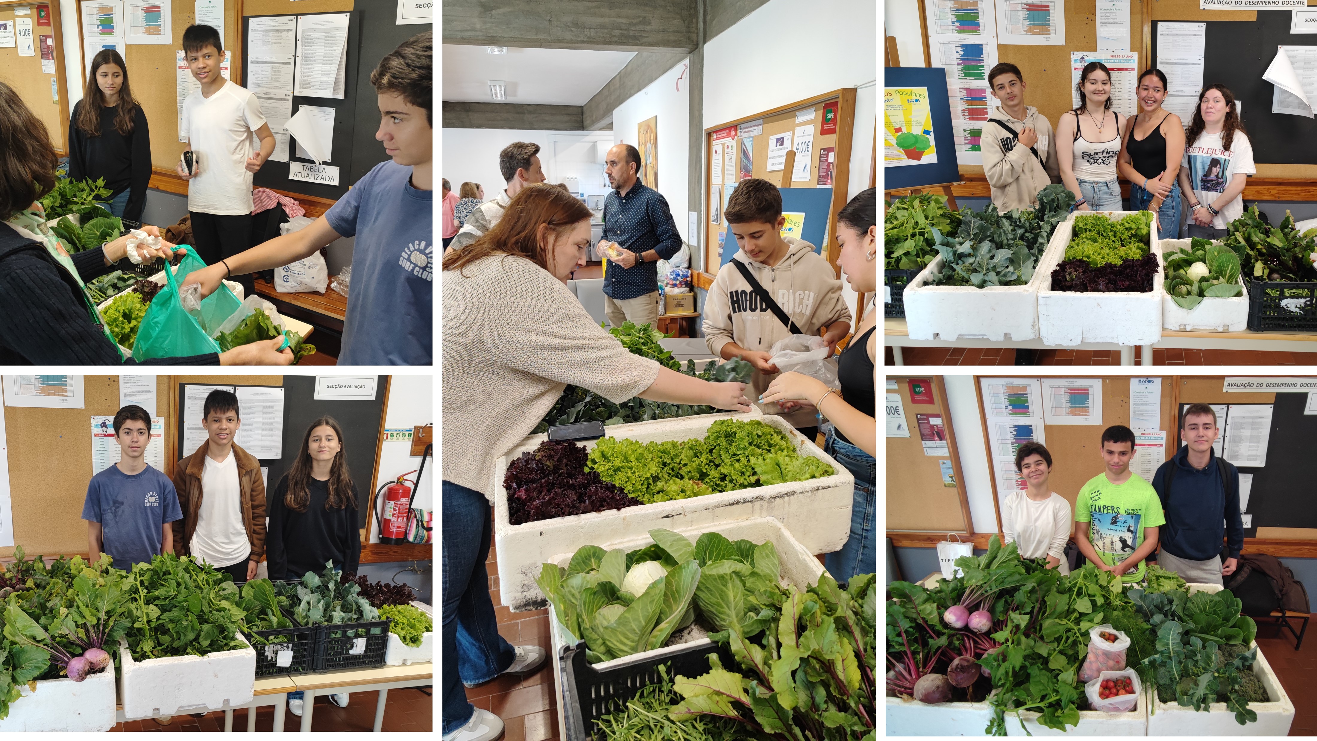 Este ano letivo foram realizados 8 mercadinhos biológicos. Após a apanha dos produtos, os alunos transportam-nos até à sala dos professores onde colaboram ativamente na sua disponibilização à comunidade.