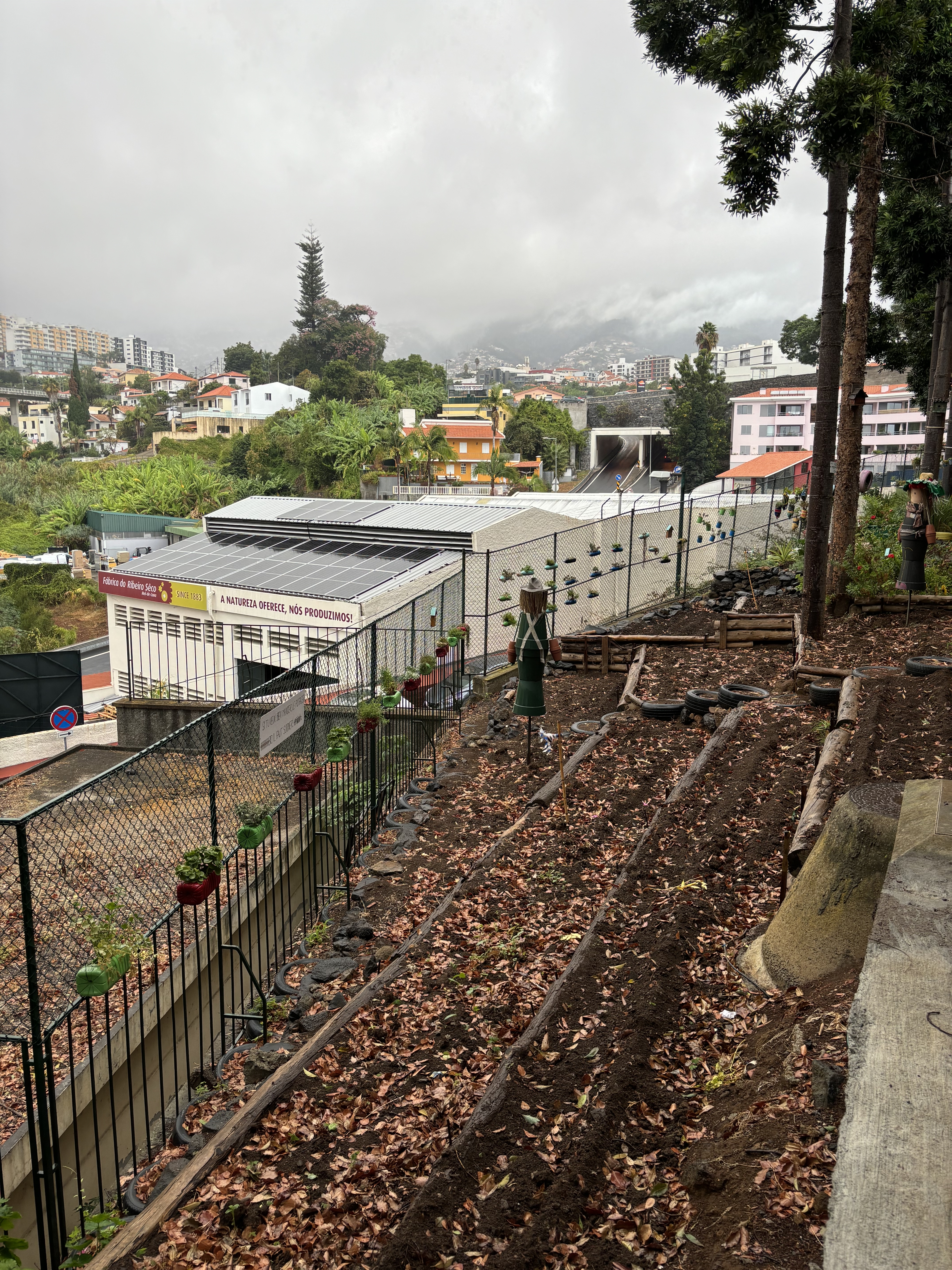 Terreno está preparado para receber as primeiras plantações.