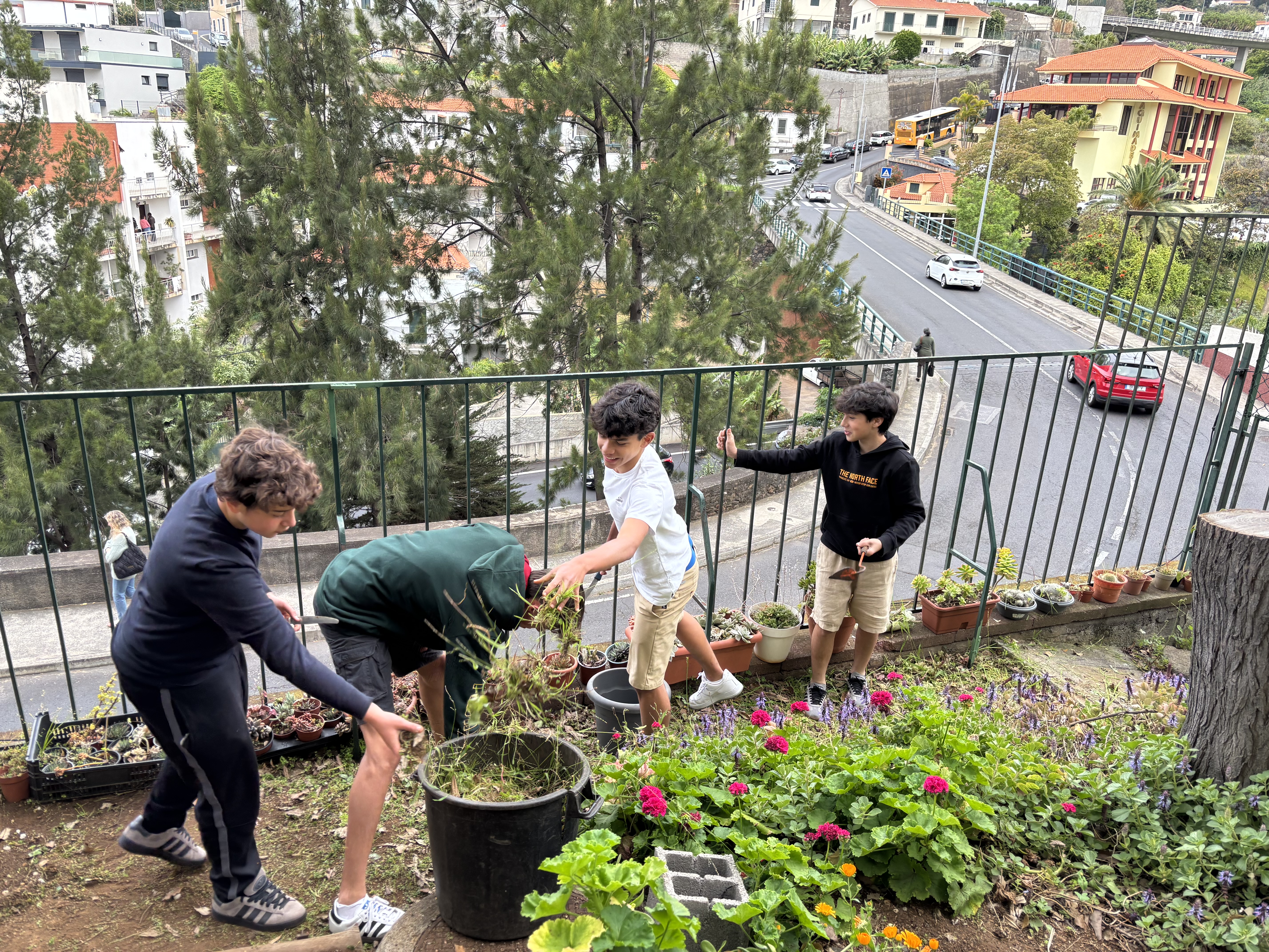 Os voluntários ajudam na manutenção do espaço da bio horta.