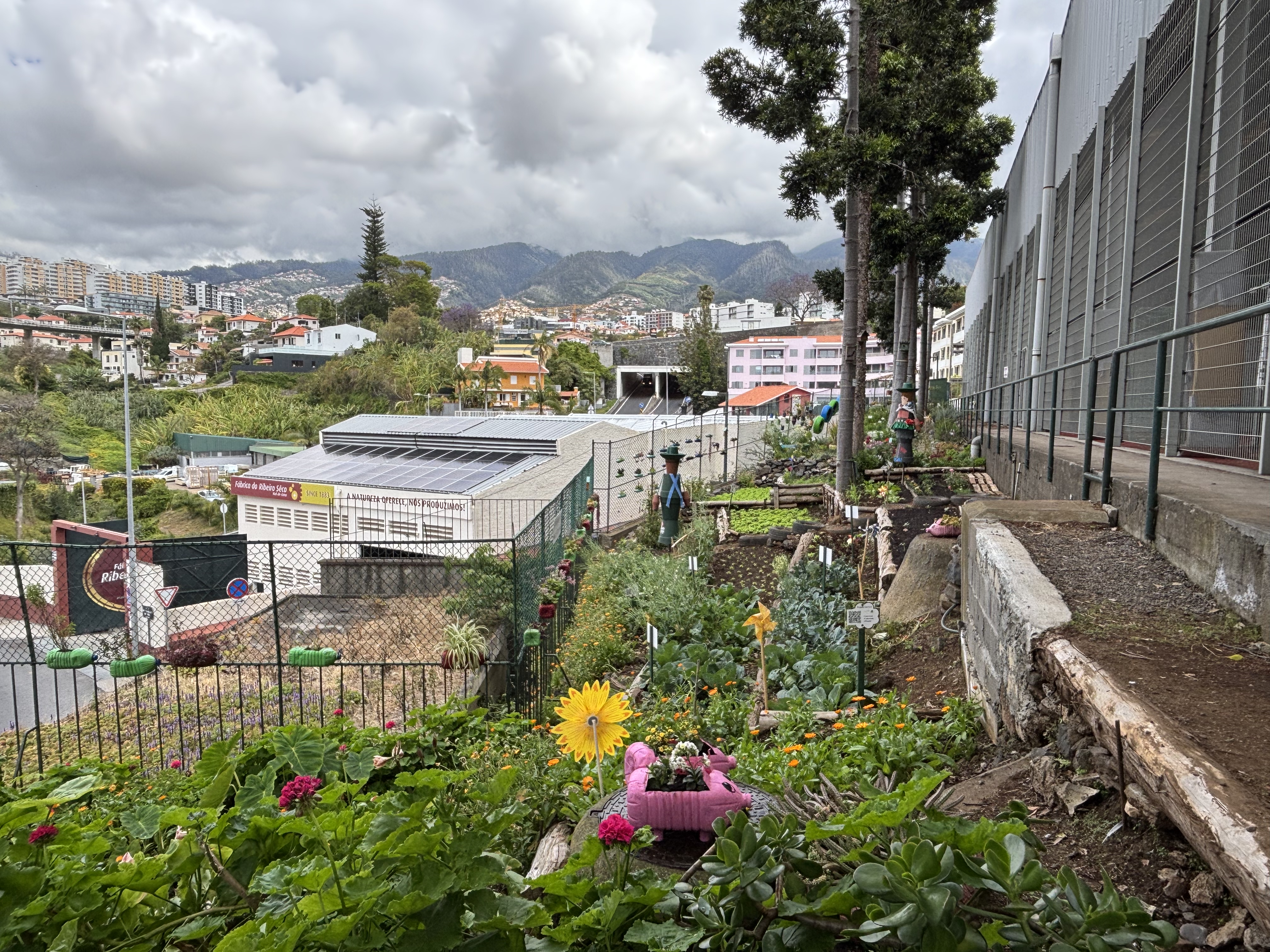 Perspetiva da horta I.