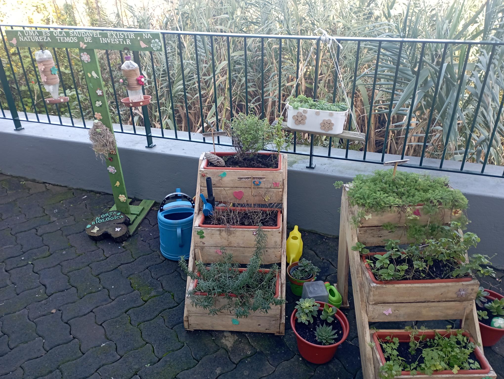 Horta biológica.