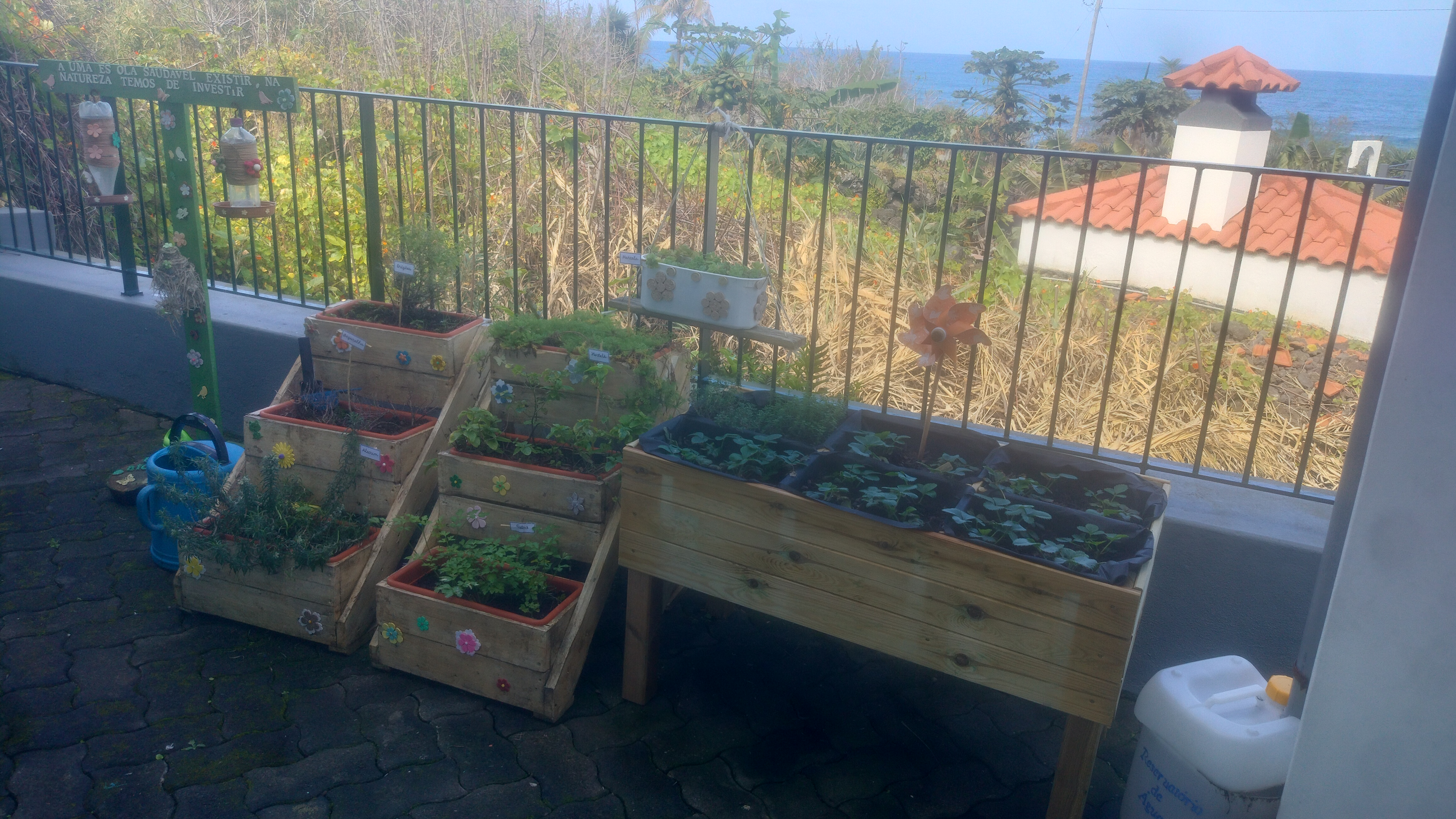 Horta biológica, com ervas aromáticas e morangueiros. Reservatório de água. Comedouro e bebedouro de pássaros.