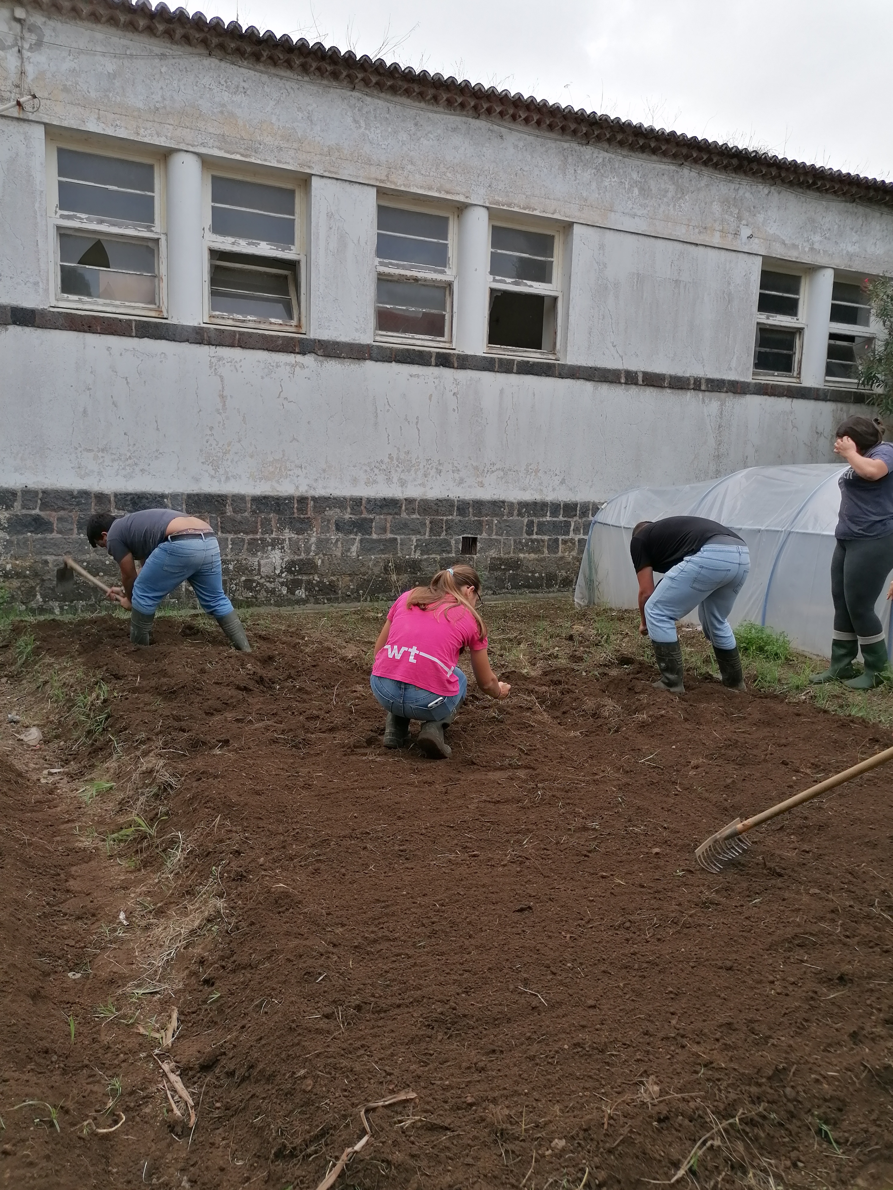 Preparação do terreno para culturas de primavera verão.