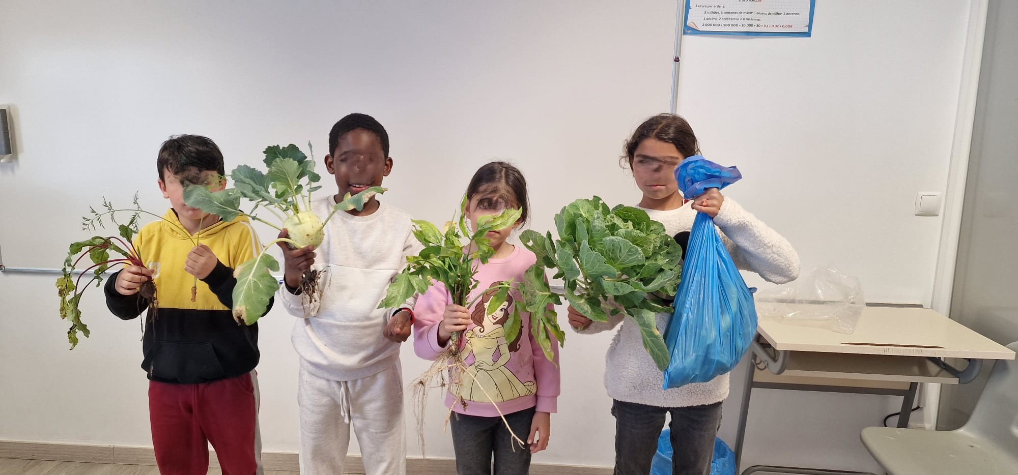 Os nossos campeões verdes, colheita ecológica do Eco-Escolas