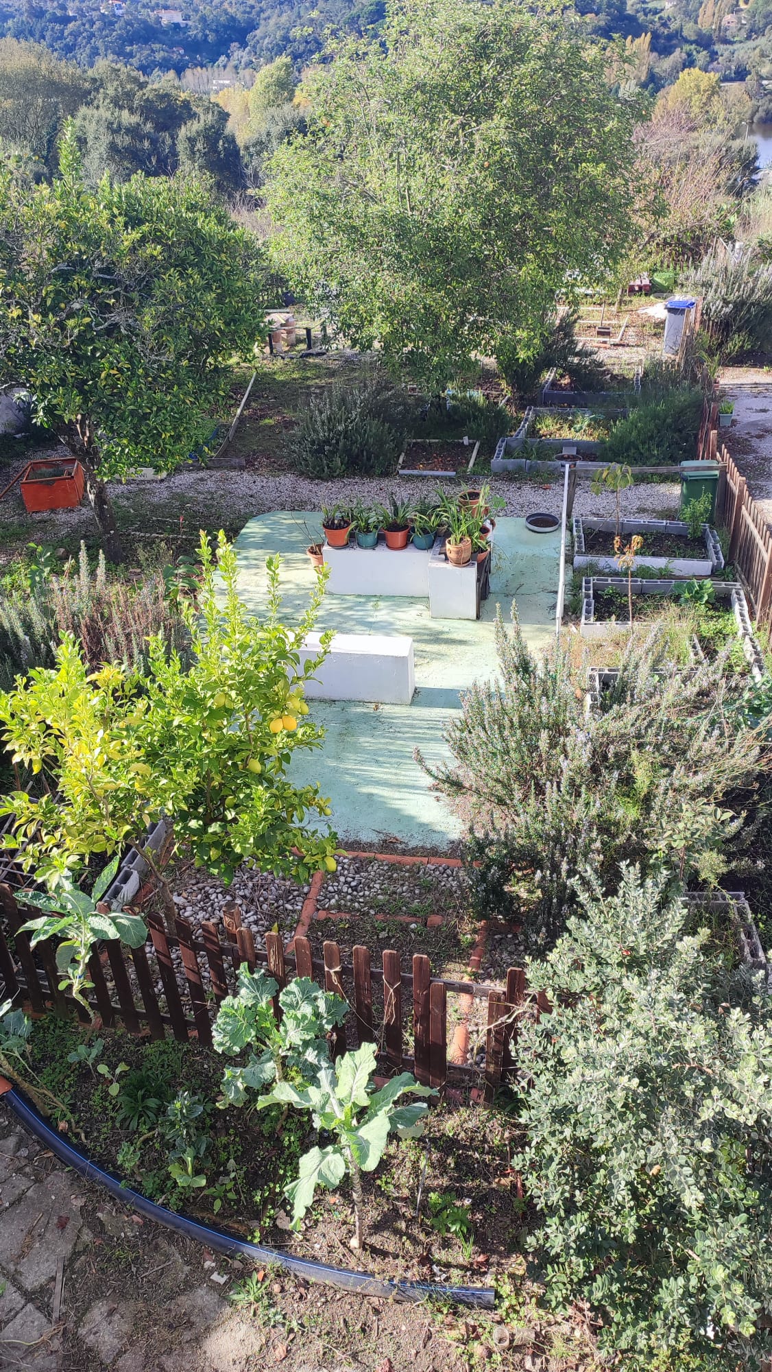 Panorama da horta.