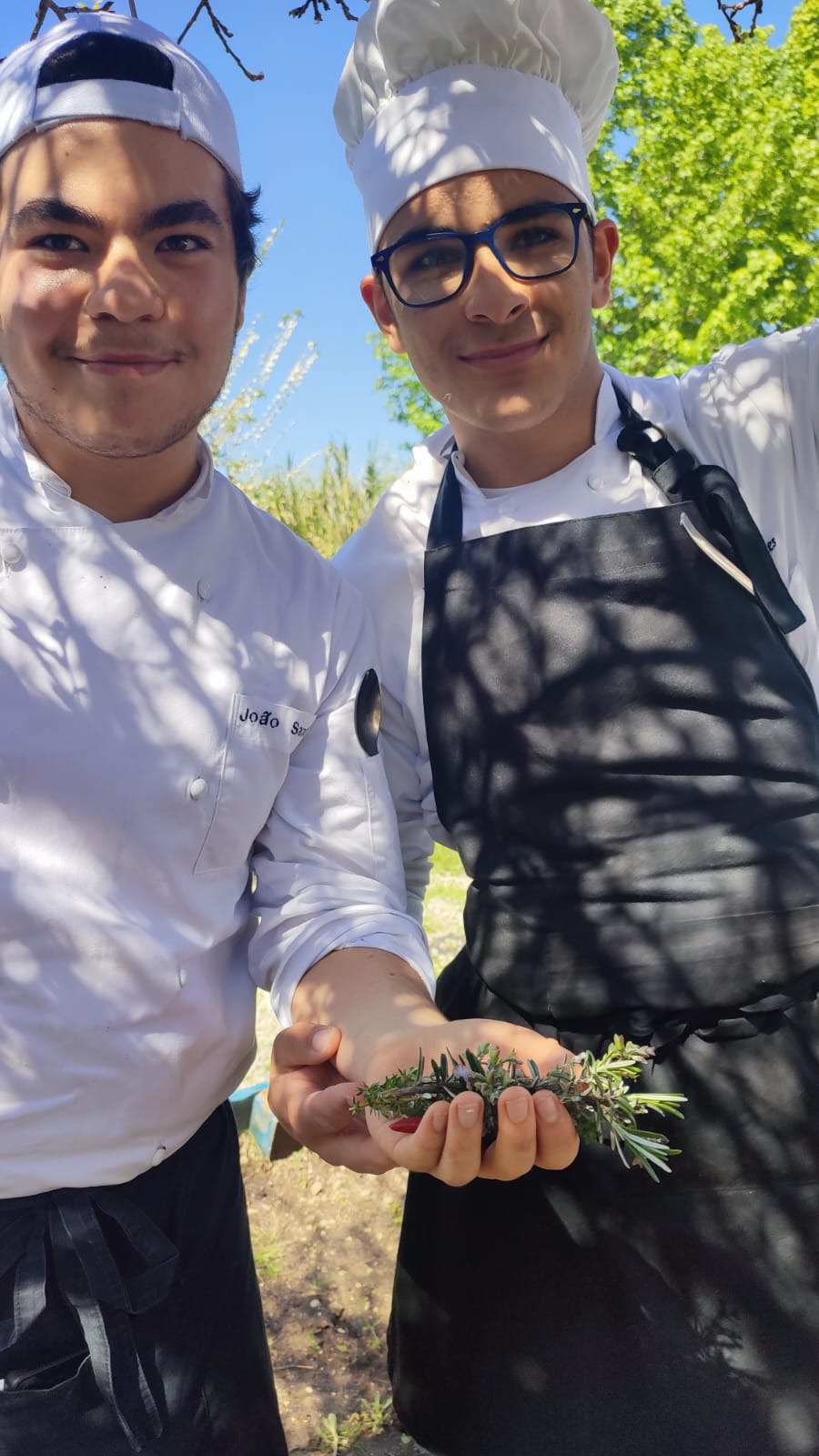 Alunos durante as aulas práticas de cozinha, a virem à horta colher as ervas para utilizar.
O jardim de aromáticas permitiu aos alunos aprofundarem os conhecimentos sobre gastronomia mediterrânica e utilizar os produtos por eles produzido.