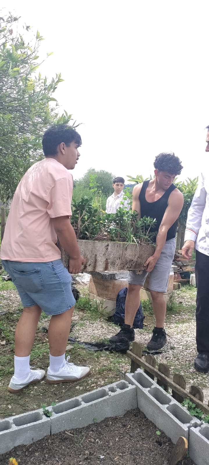 Trabalhos de manutenção realizados por alunos.
Ao longo dos últimos meses, os alunos foram fazendo a manutenção do espaço. Nesta foto, estavam a preparar o terreno para a plantação de canteiro alusivo às plantas referidas na obra de Camões.