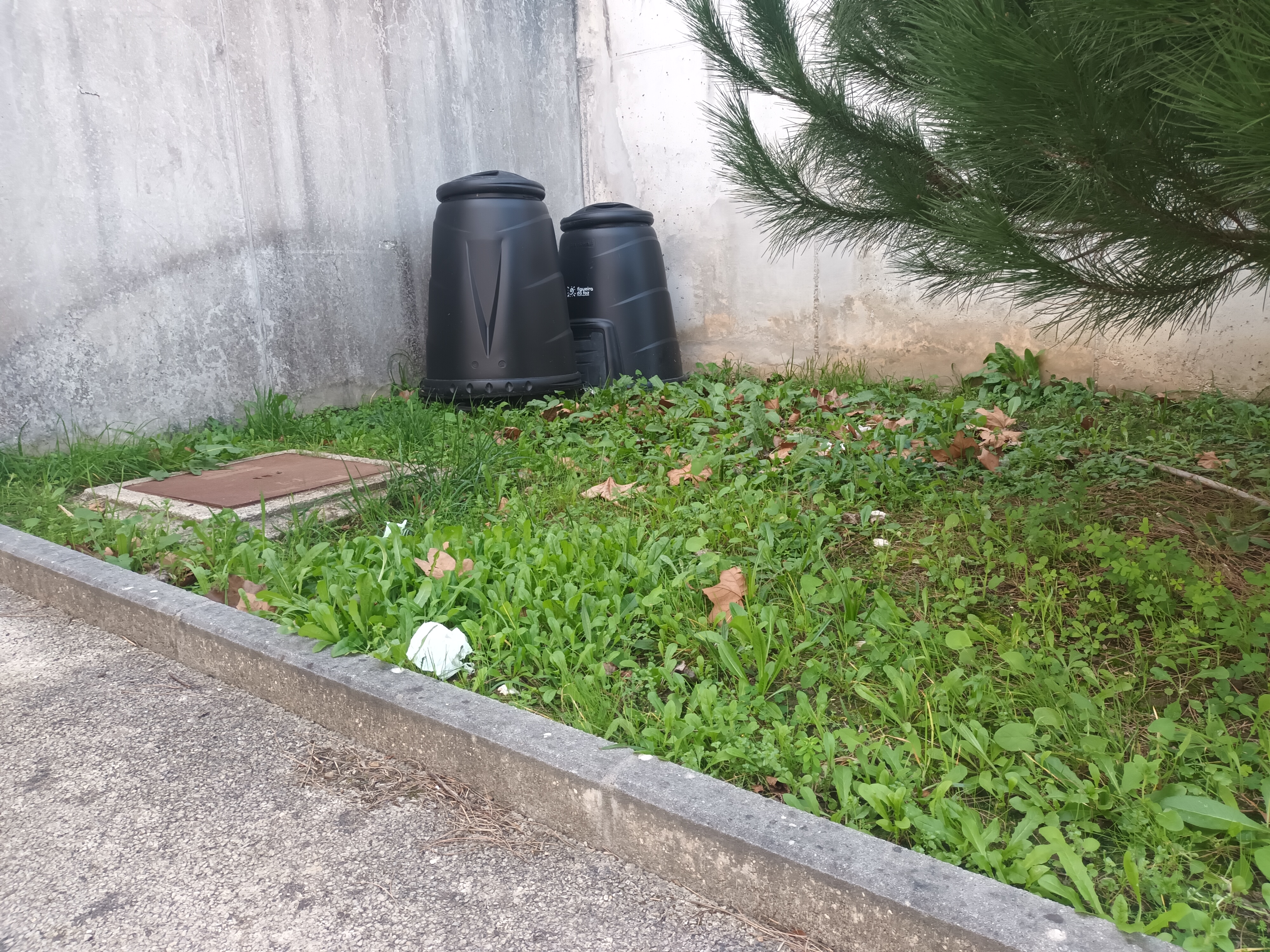 Horta pousio 1