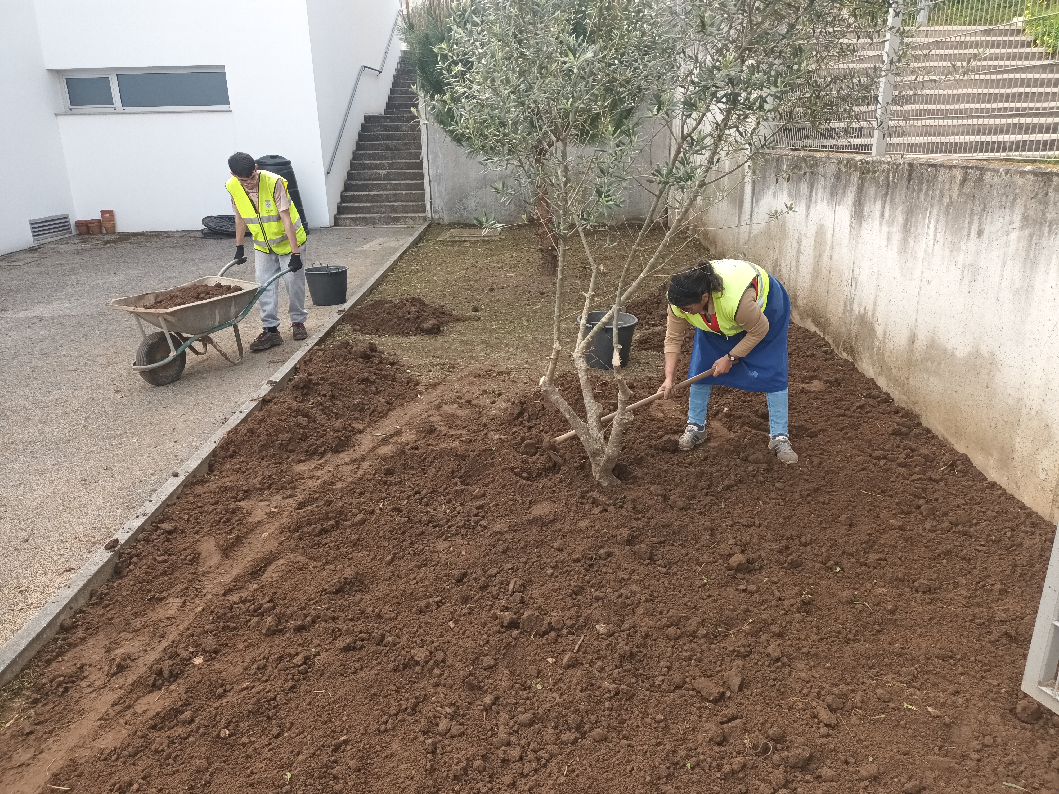 Uniformizar do terreno