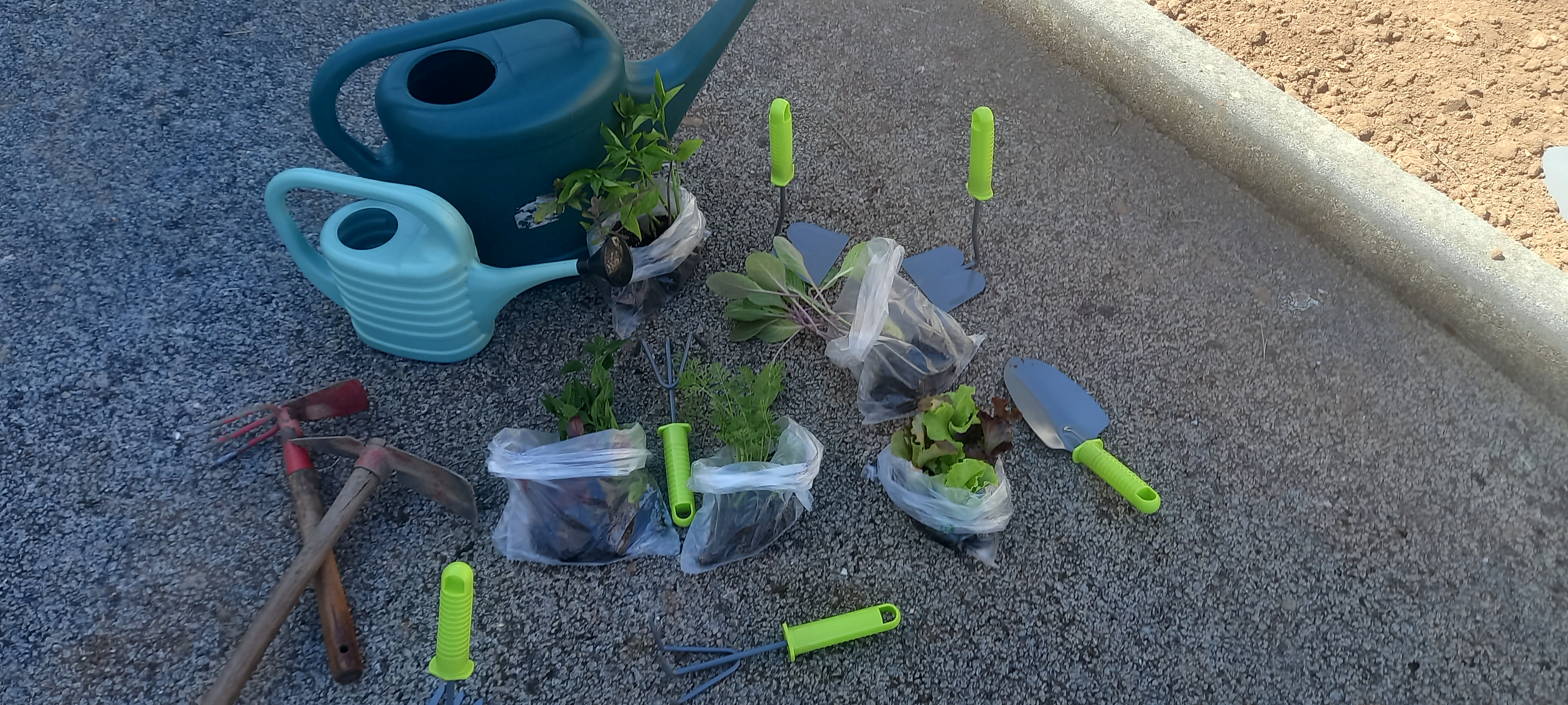 Utensílios e produtos a plantar