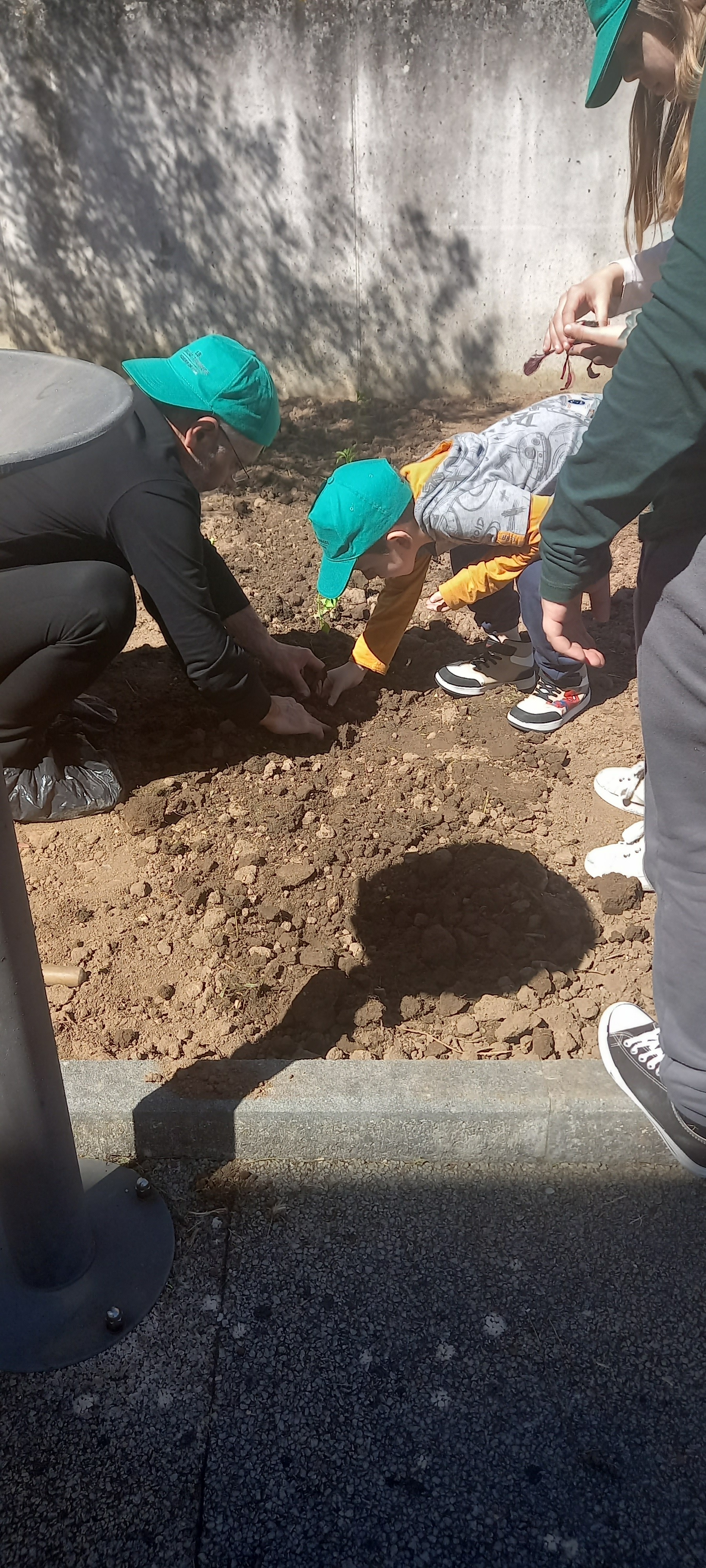 Plantação das plantas