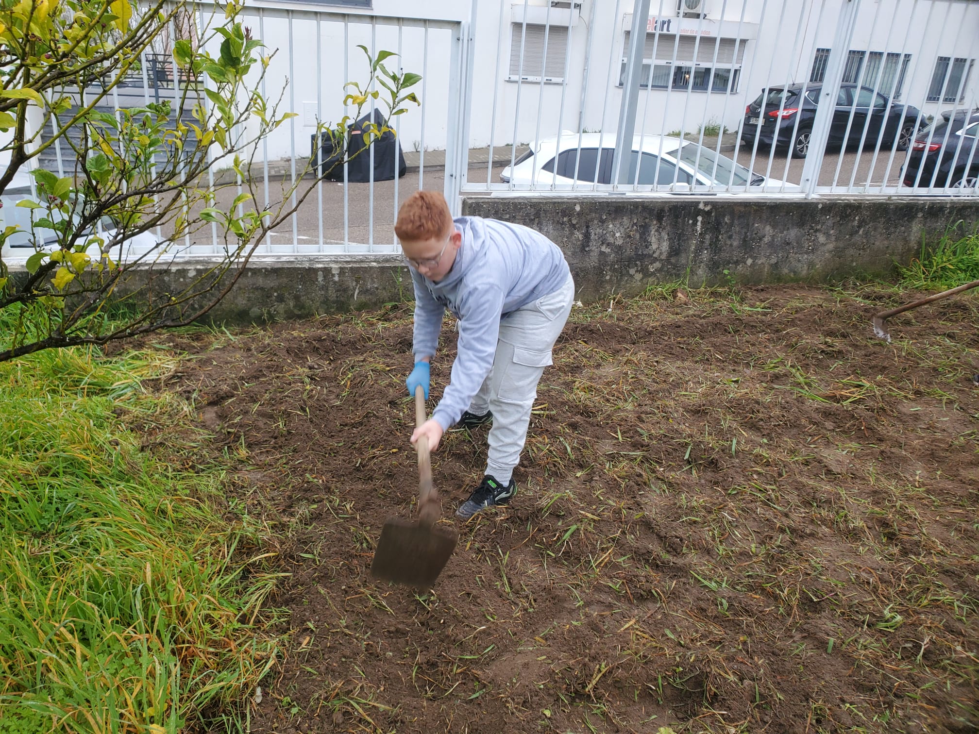 Preparação da terra para a horta.