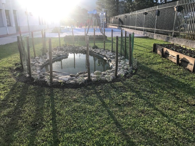 Recuperação do lago com a plantação de arbustos, para fazer alguma sombra, retirando-se  as plantas invasoras .
