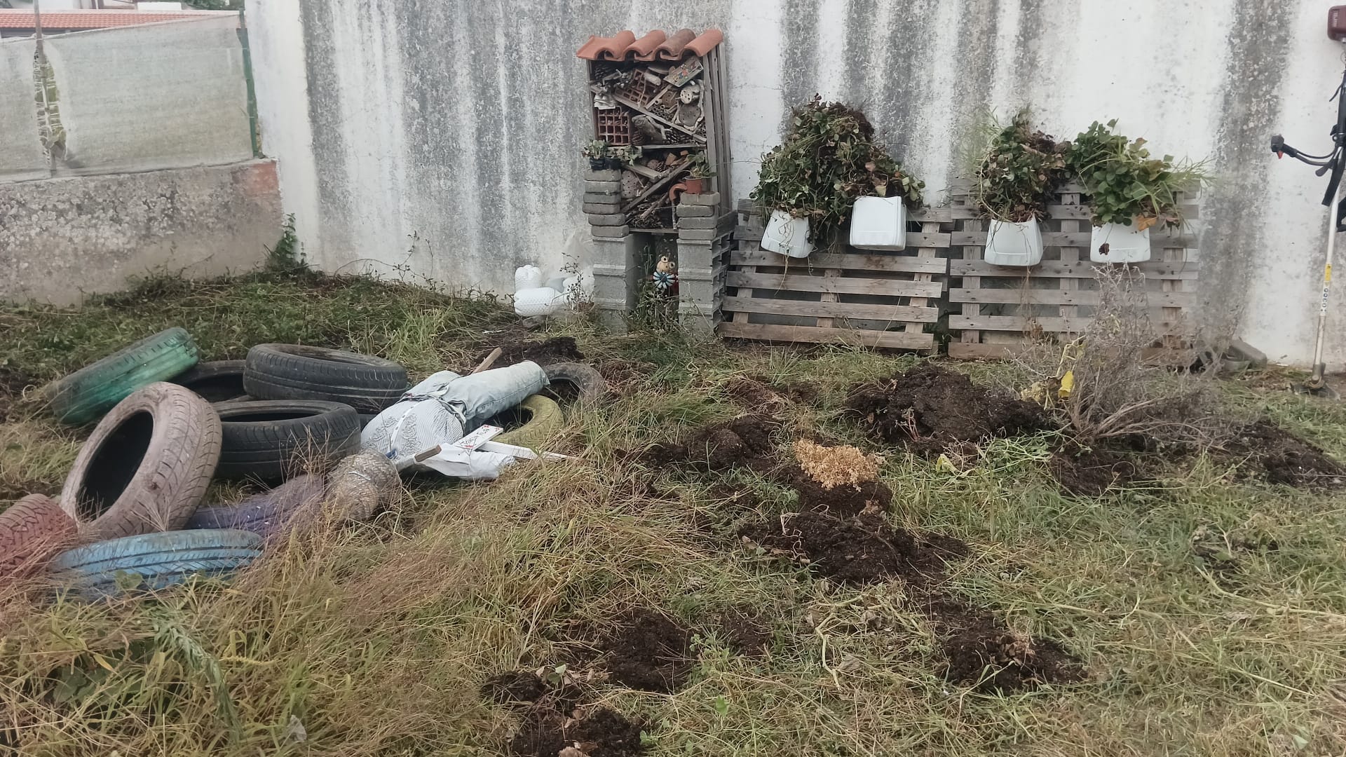 Terreno por tratar, com ervas pneus