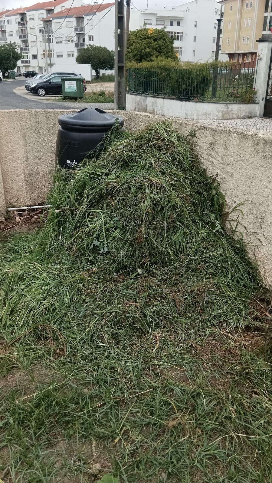 vegetação cortada para o compostor