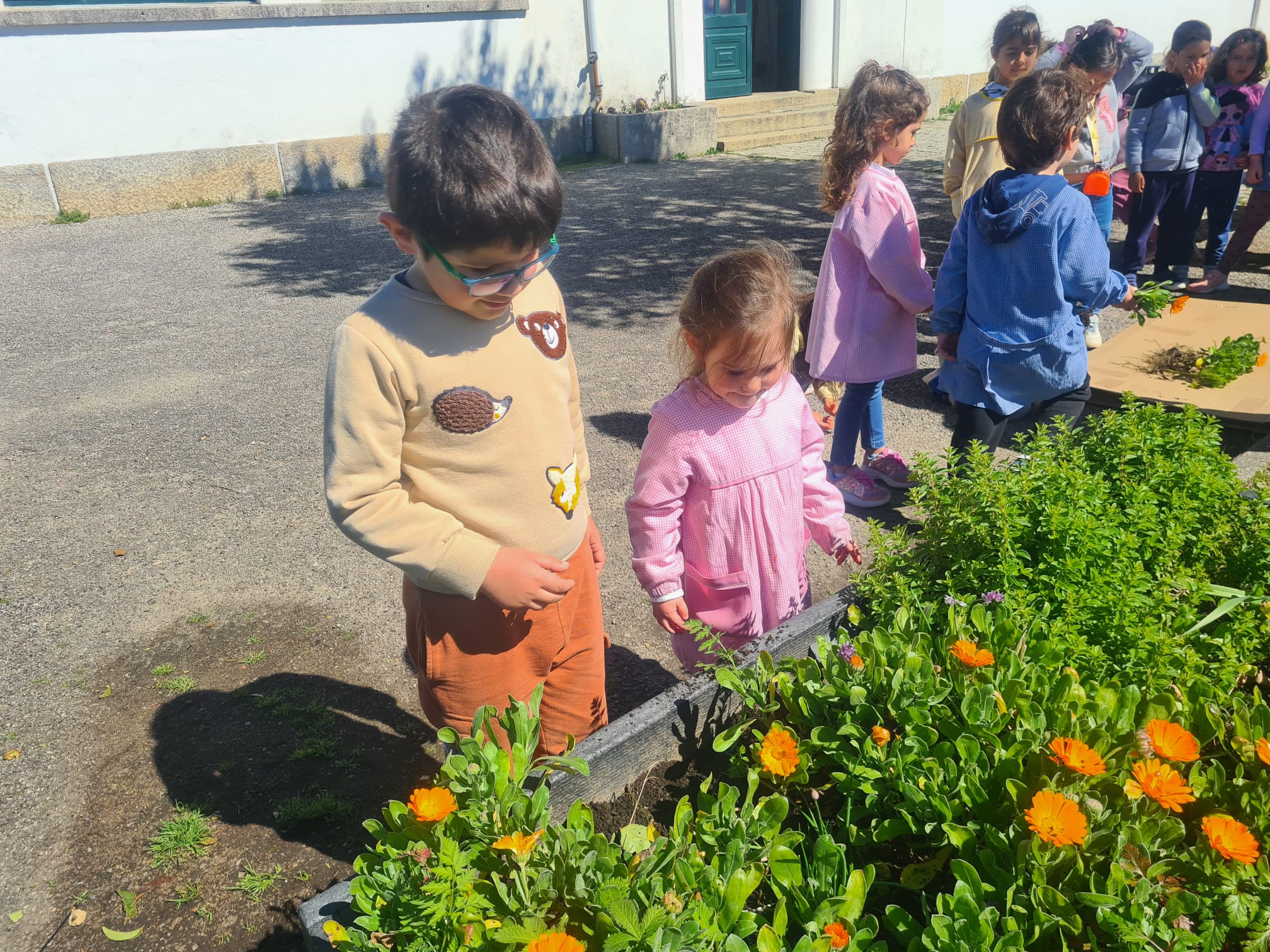 Turmas do pré escolar.