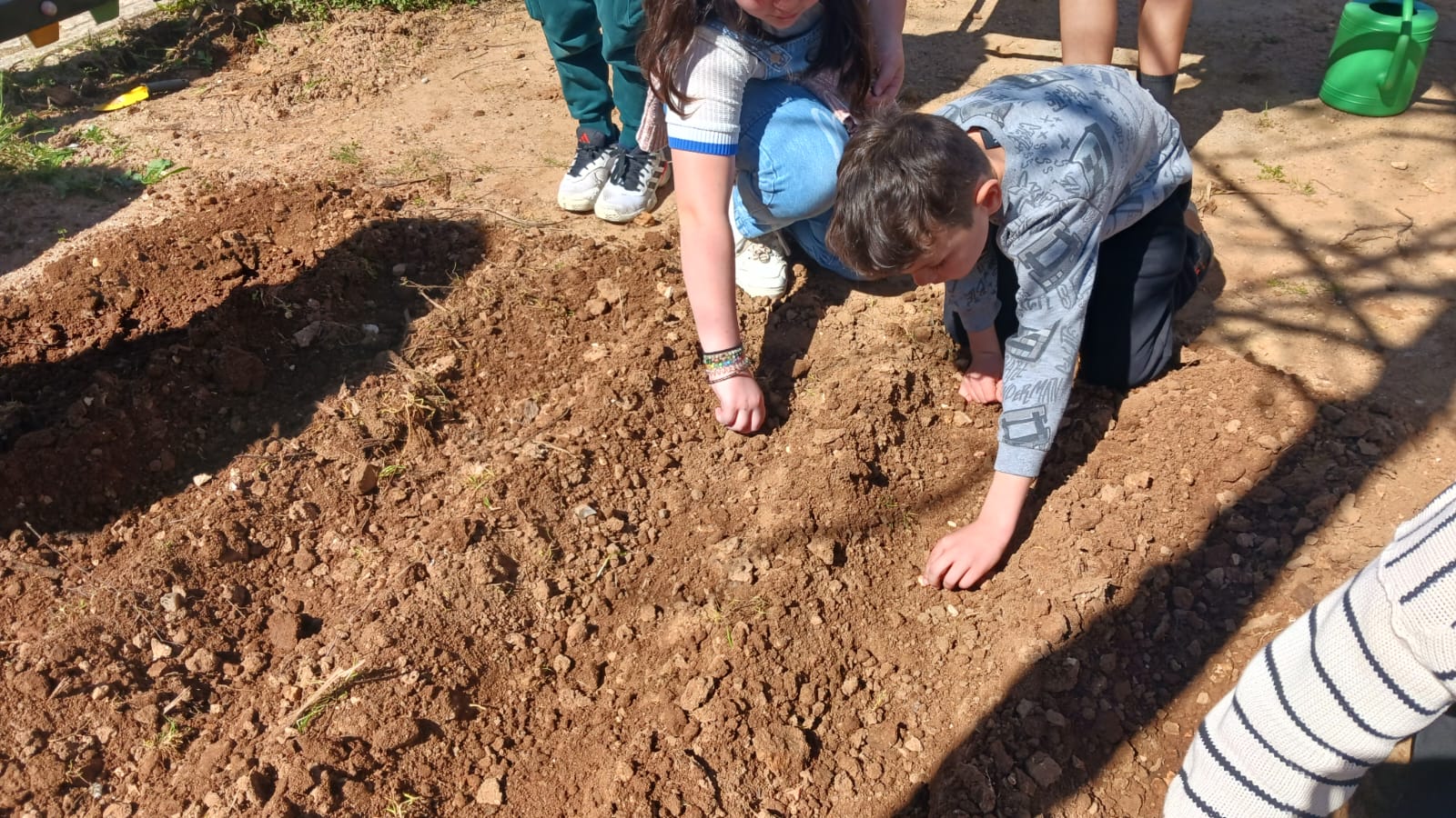 Preparação do solo hortas (espaço2). Retirada das ervas e início de plantações.