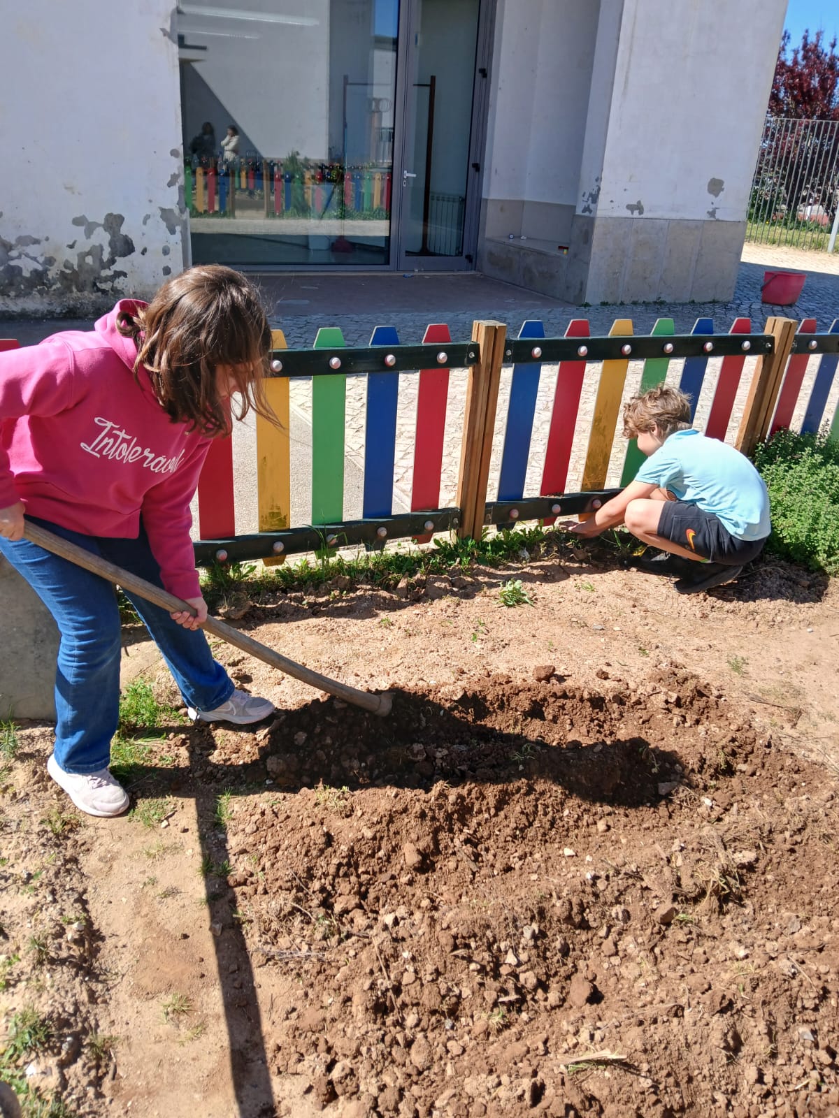 Preparação do solo para as plantações de alfaces, favas, couves, morangueiros.