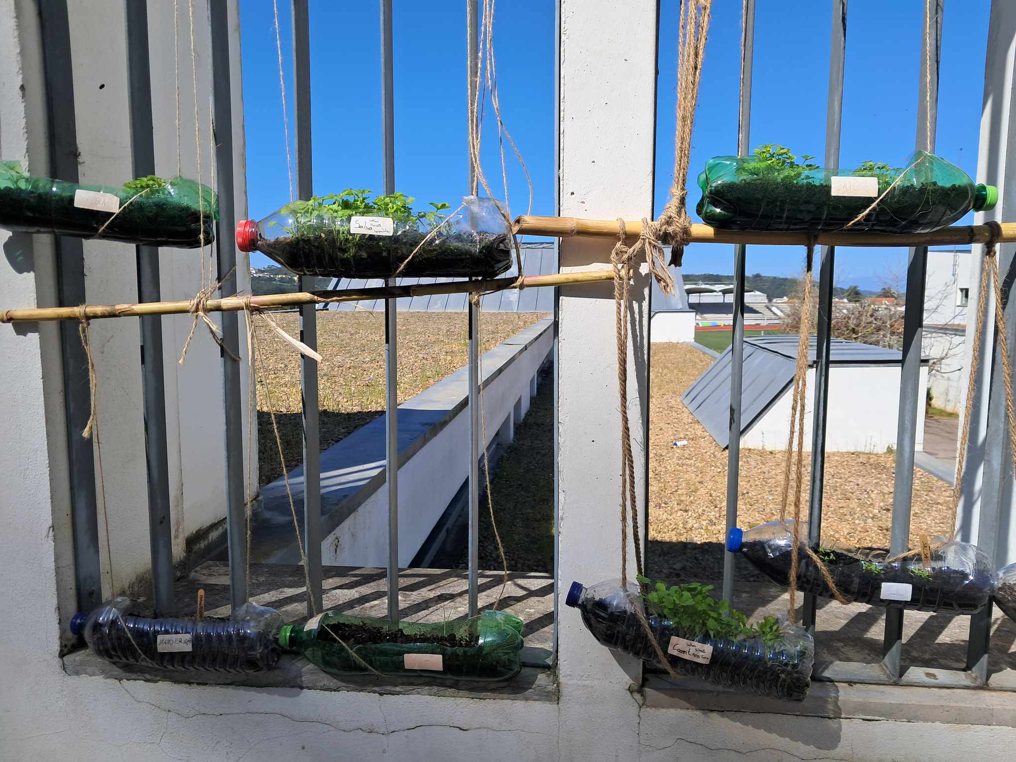 Hortas verticais iniciadas no âmbito das Ciências Naturais. Encontram-se no pátio superior exterior. A iniciativa destas hortas verticais enquadram-se no âmbito do Projeto "Eco-Pátios".