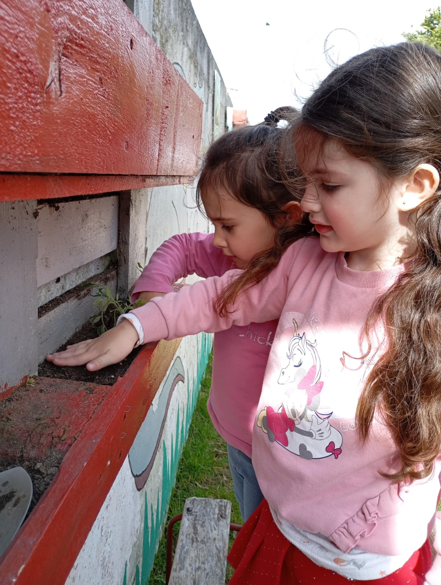 Mãos à obra, a nossa horta em construção!