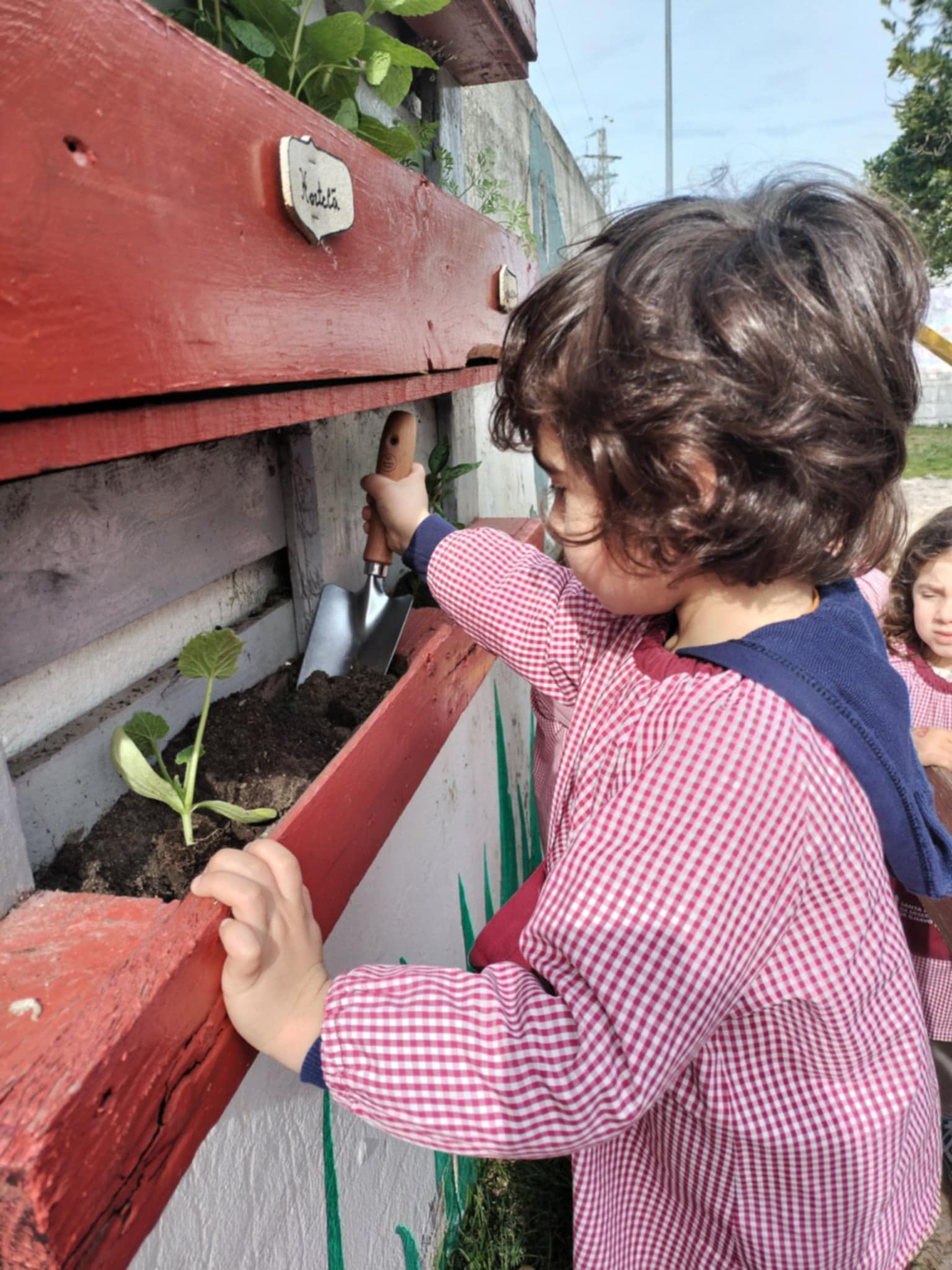 A colocar mais terra na nossa horta