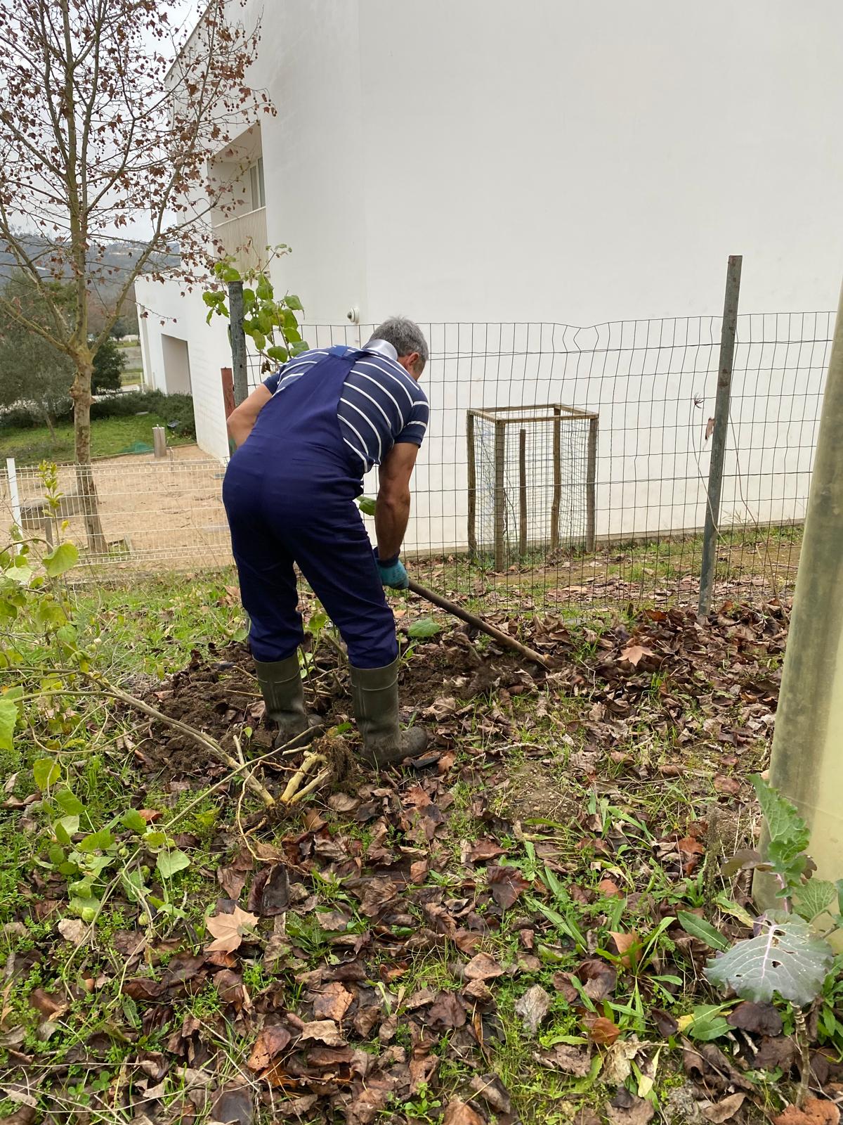 Em primeiro lugar, foi necessário procurar terra boa para o canto da horta.